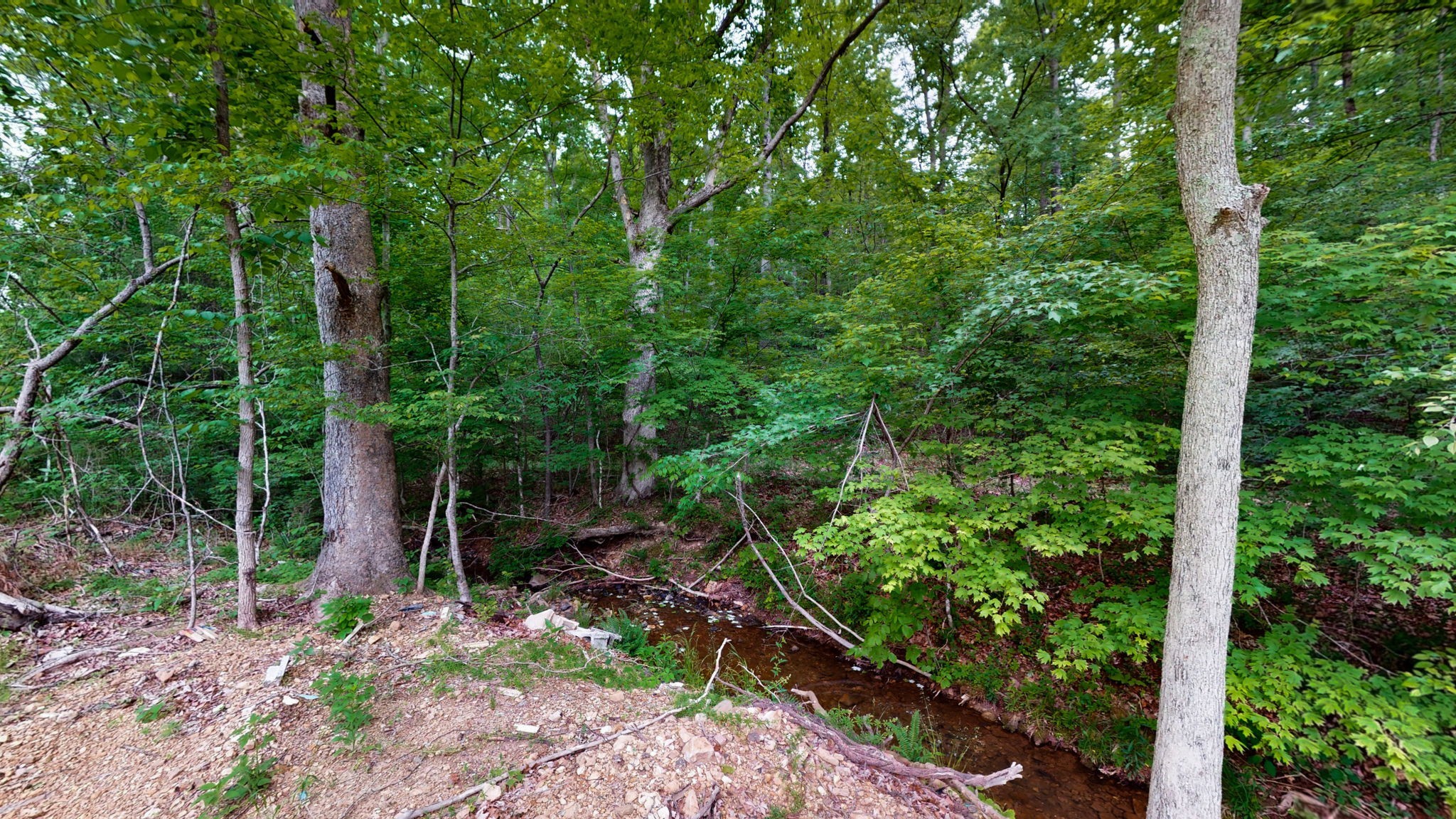 2100 Highway 13 Property Photo 16