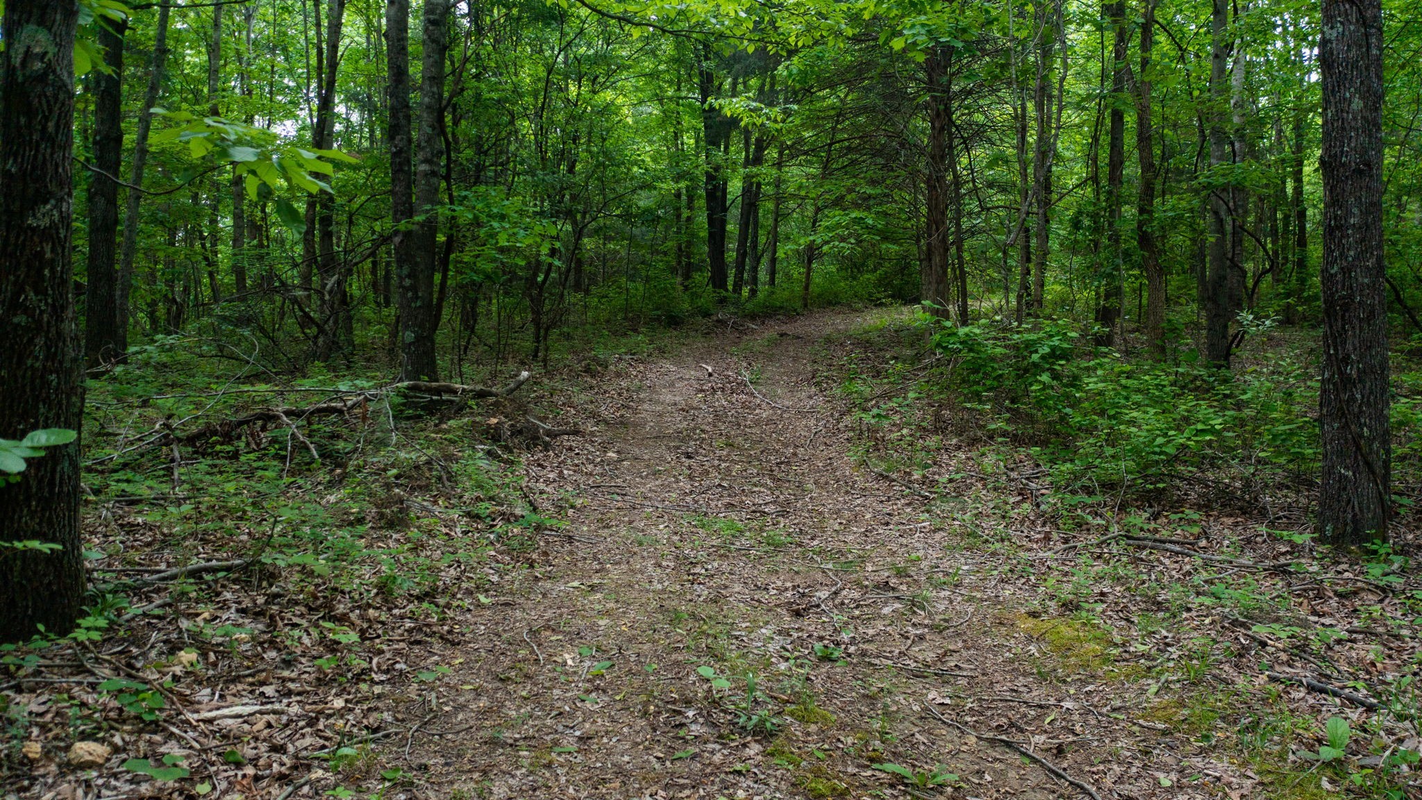 2100 Highway 13 Property Photo 17