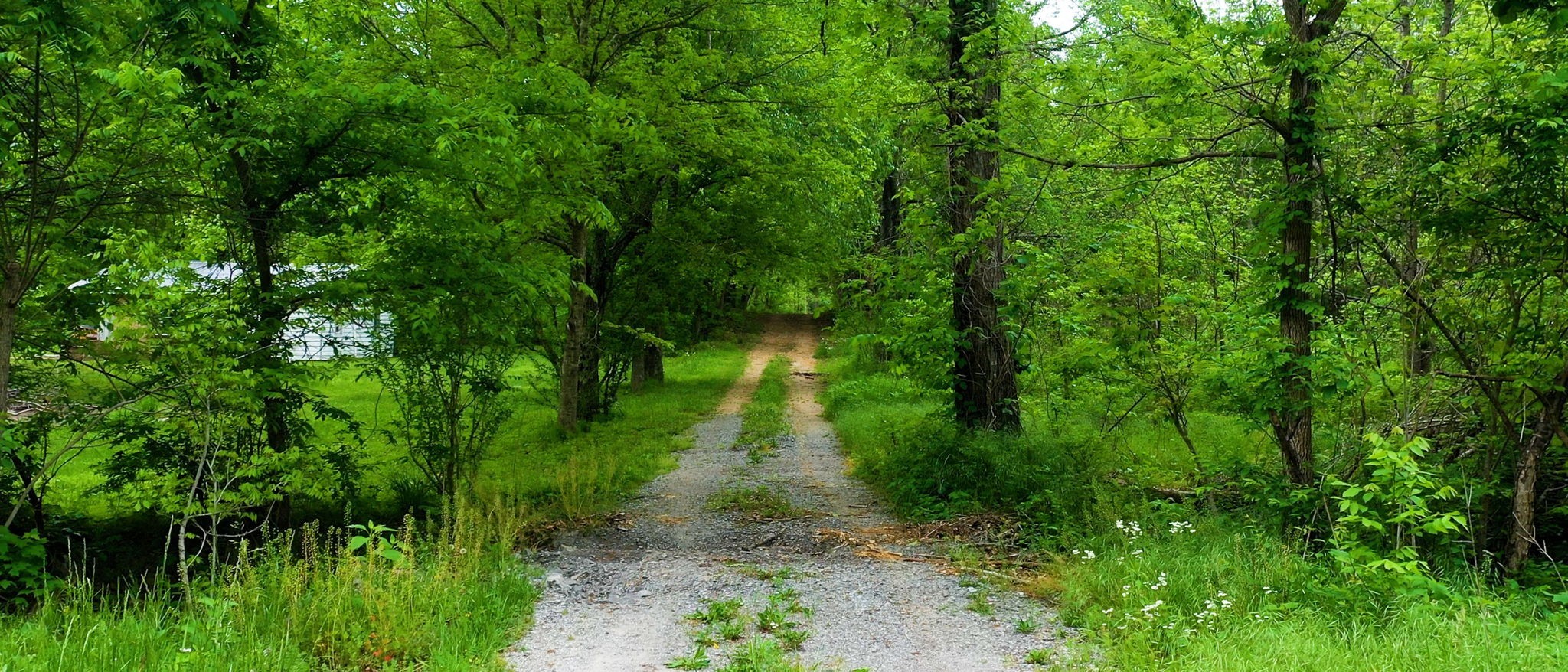 2100 Highway 13 Property Photo 18