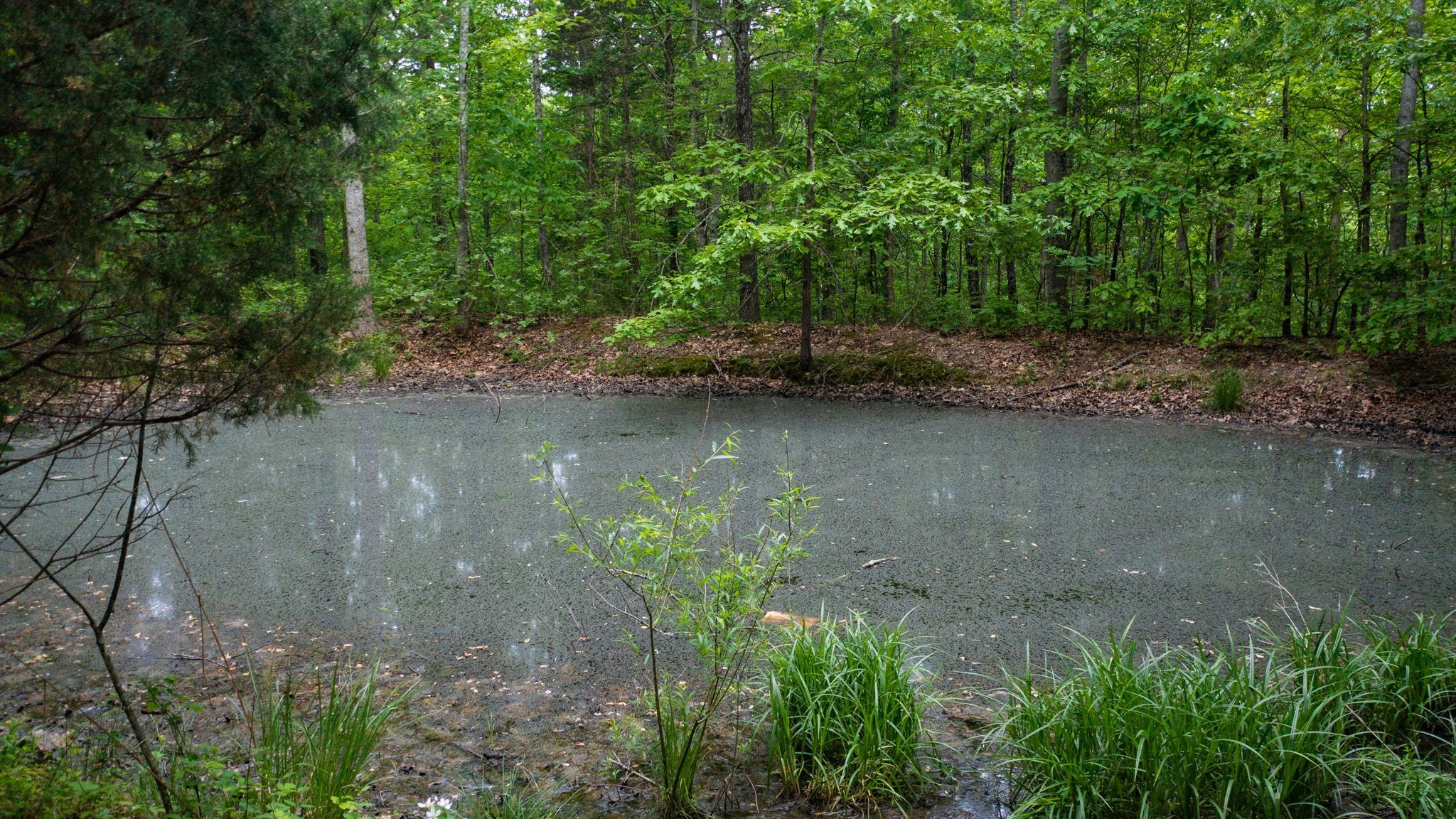 2100 Highway 13 Property Photo 19