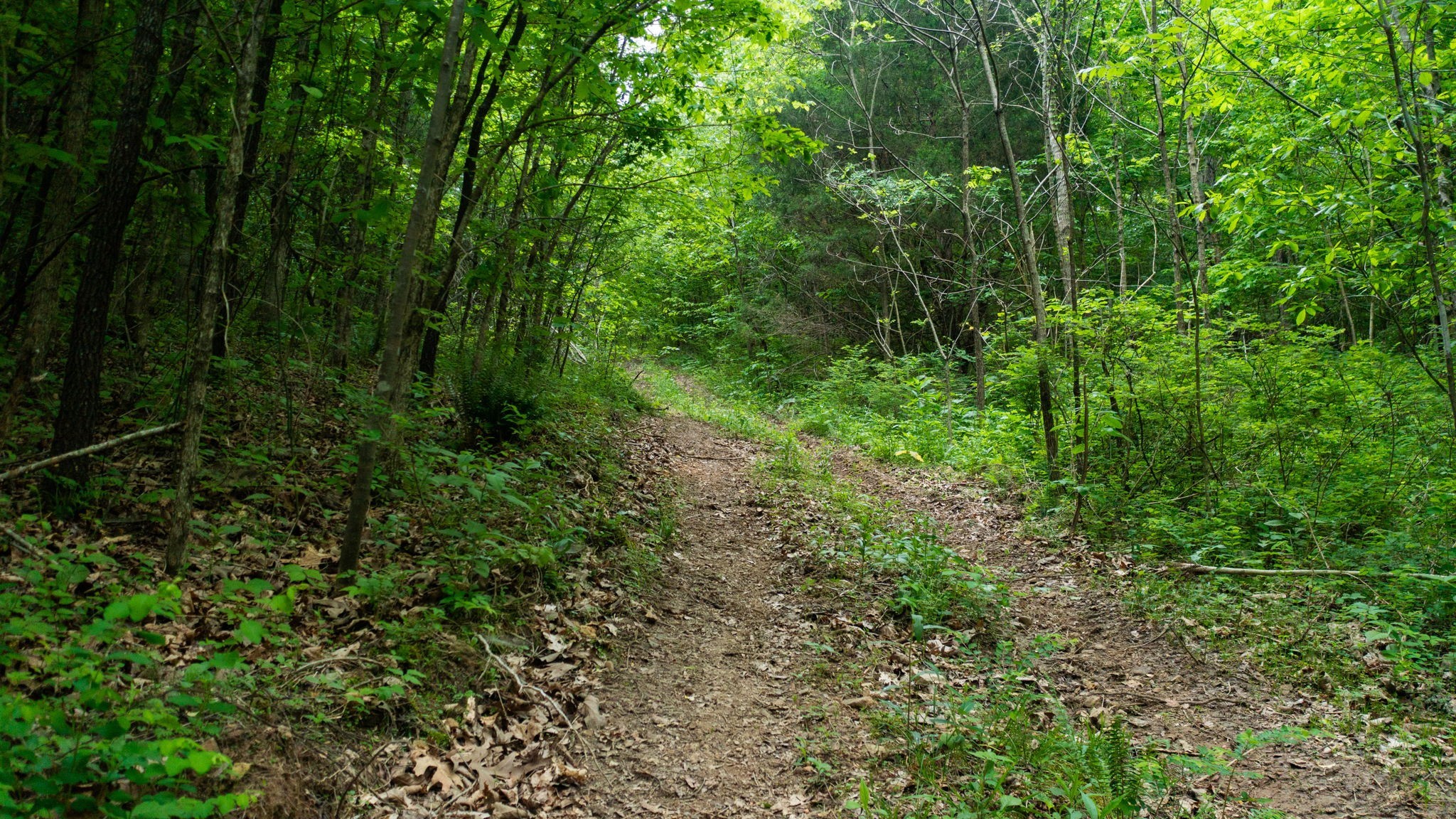 2100 Highway 13 Property Photo 22