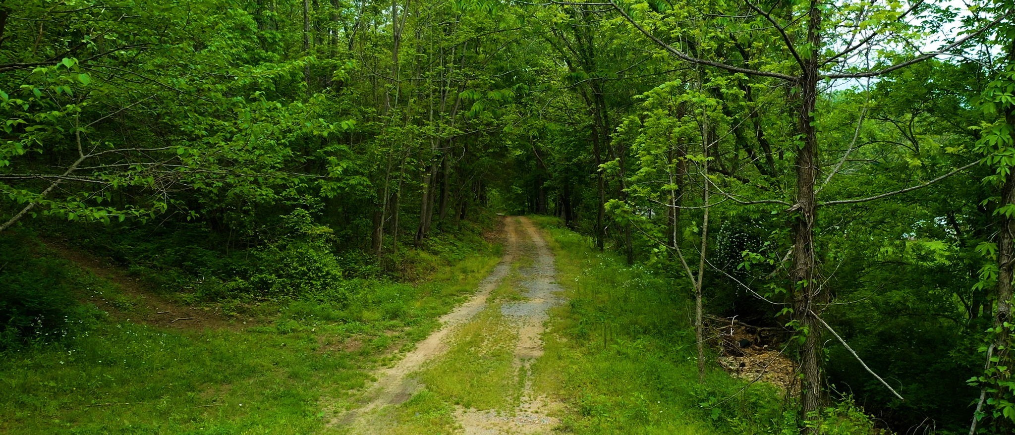 2100 Highway 13 Property Photo 23