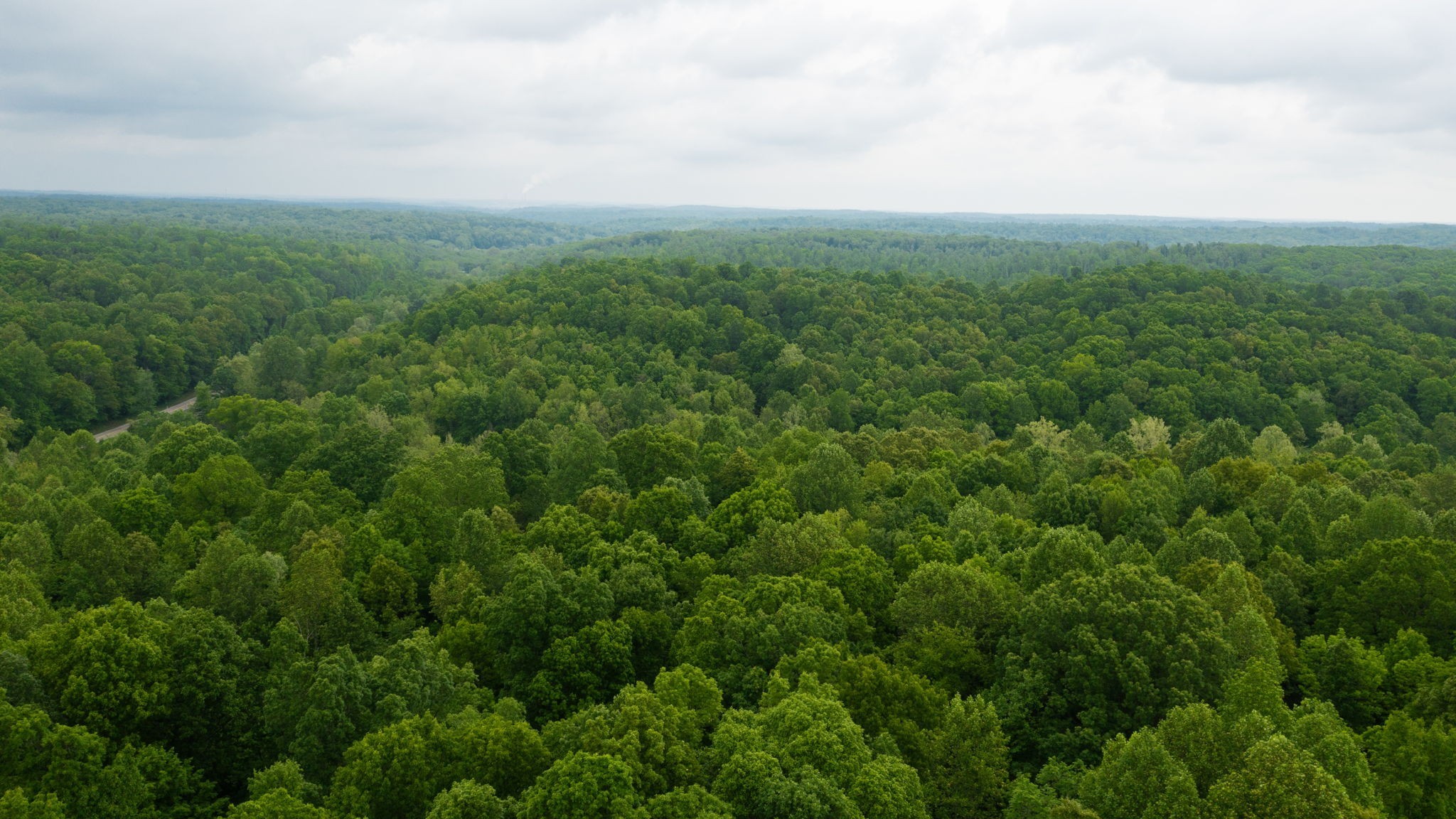 2100 Highway 13 Property Photo 25