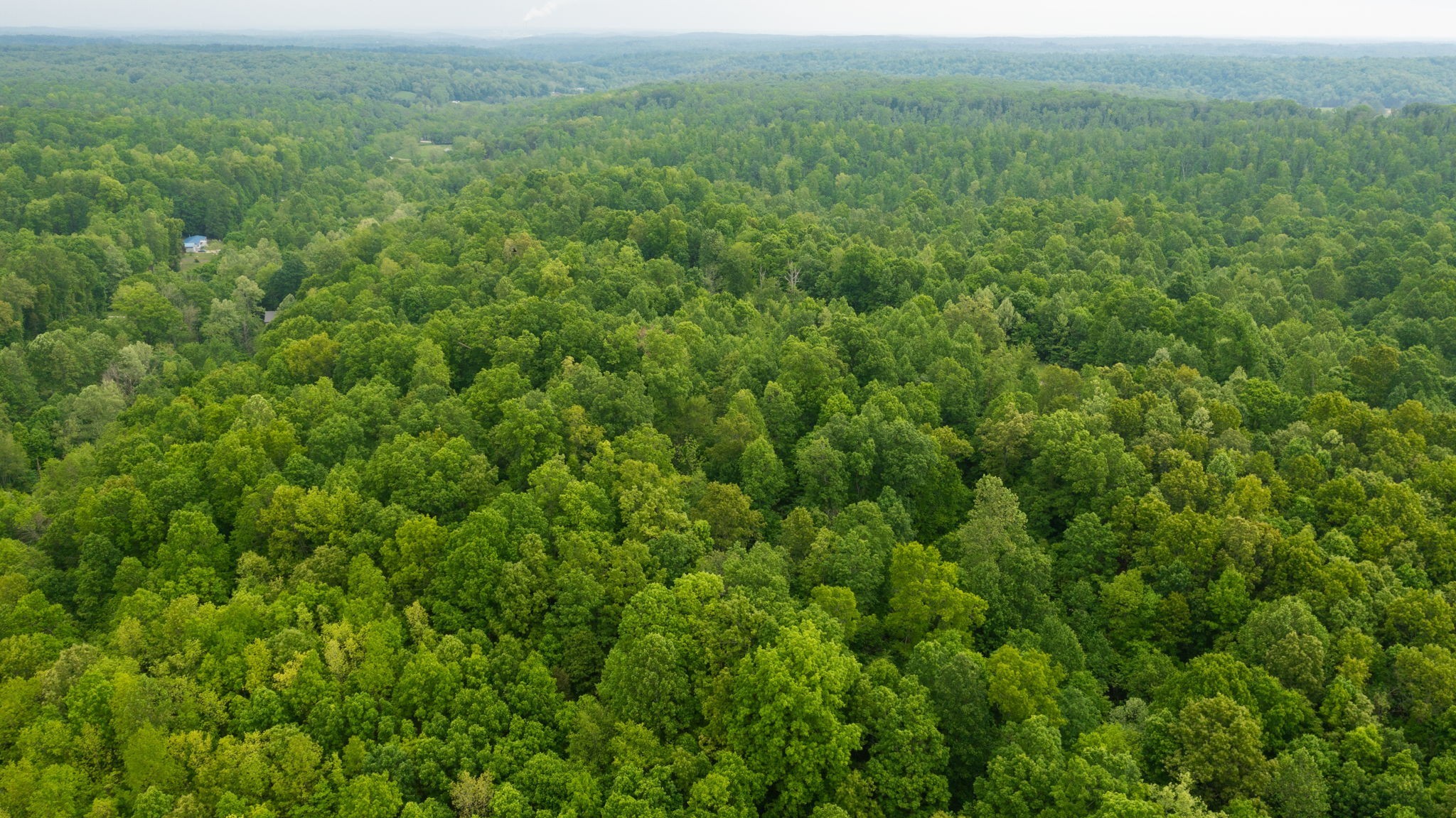 2100 Highway 13 Property Photo 27