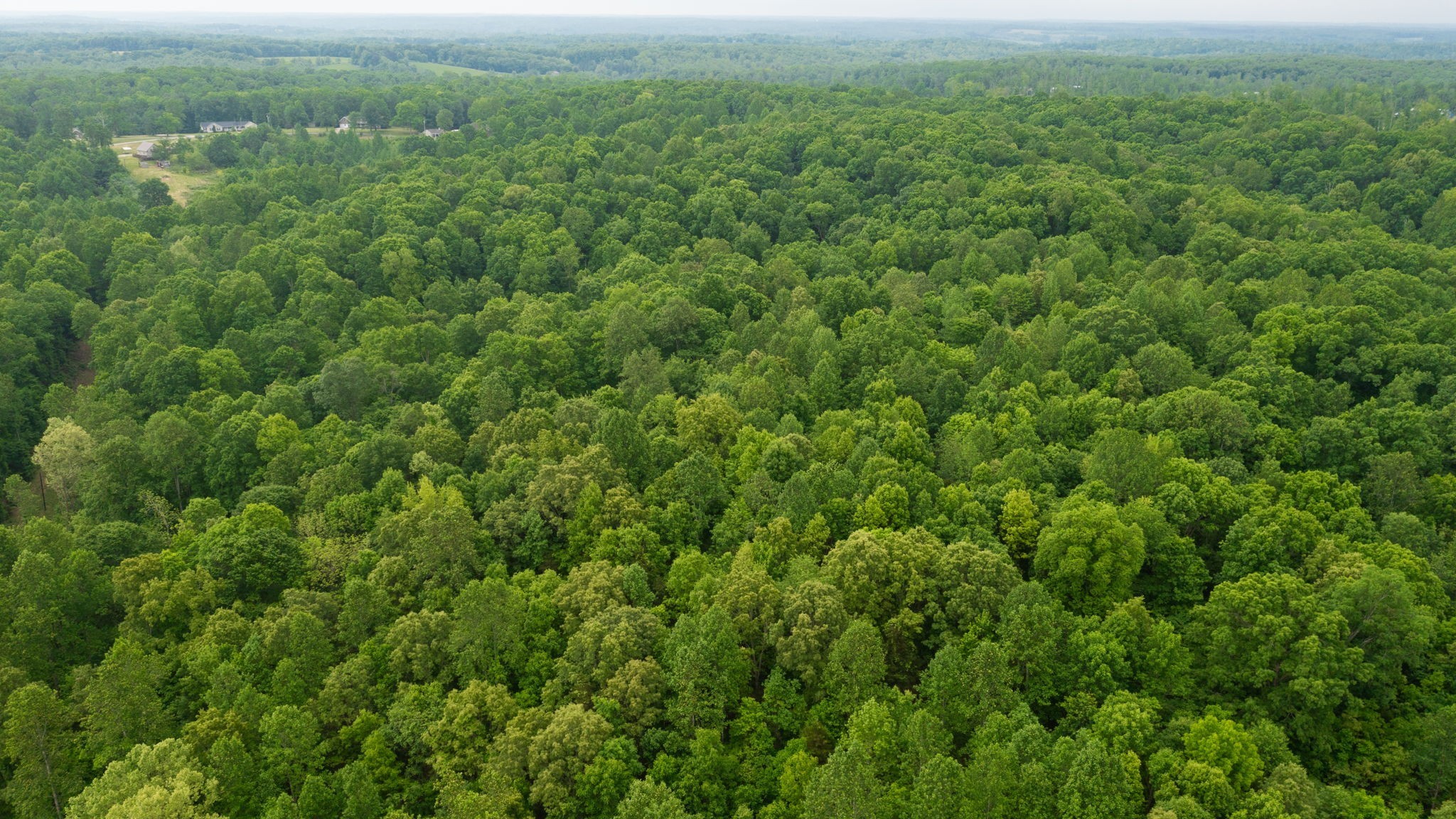 2100 Highway 13 Property Photo 28