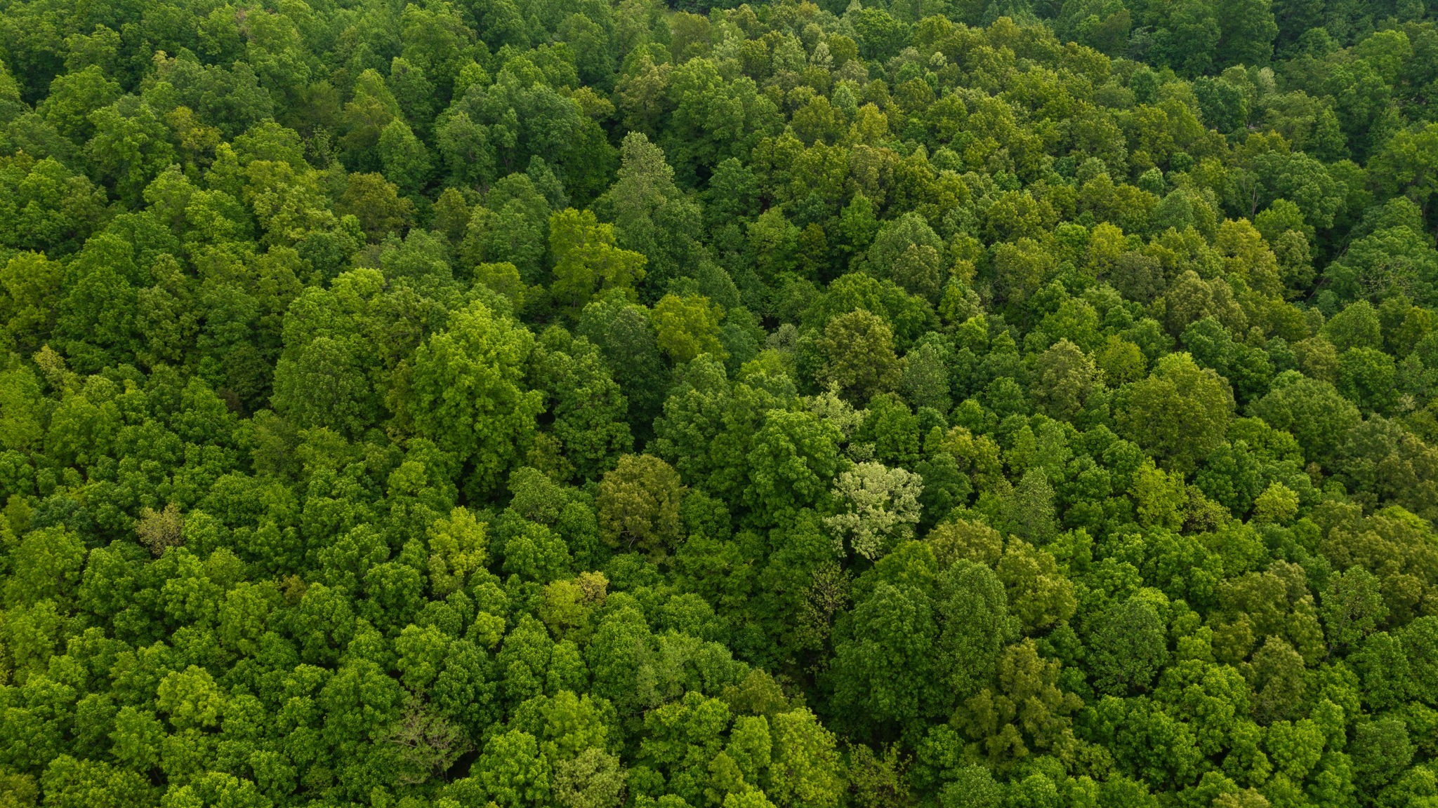 2100 Highway 13 Property Photo 29