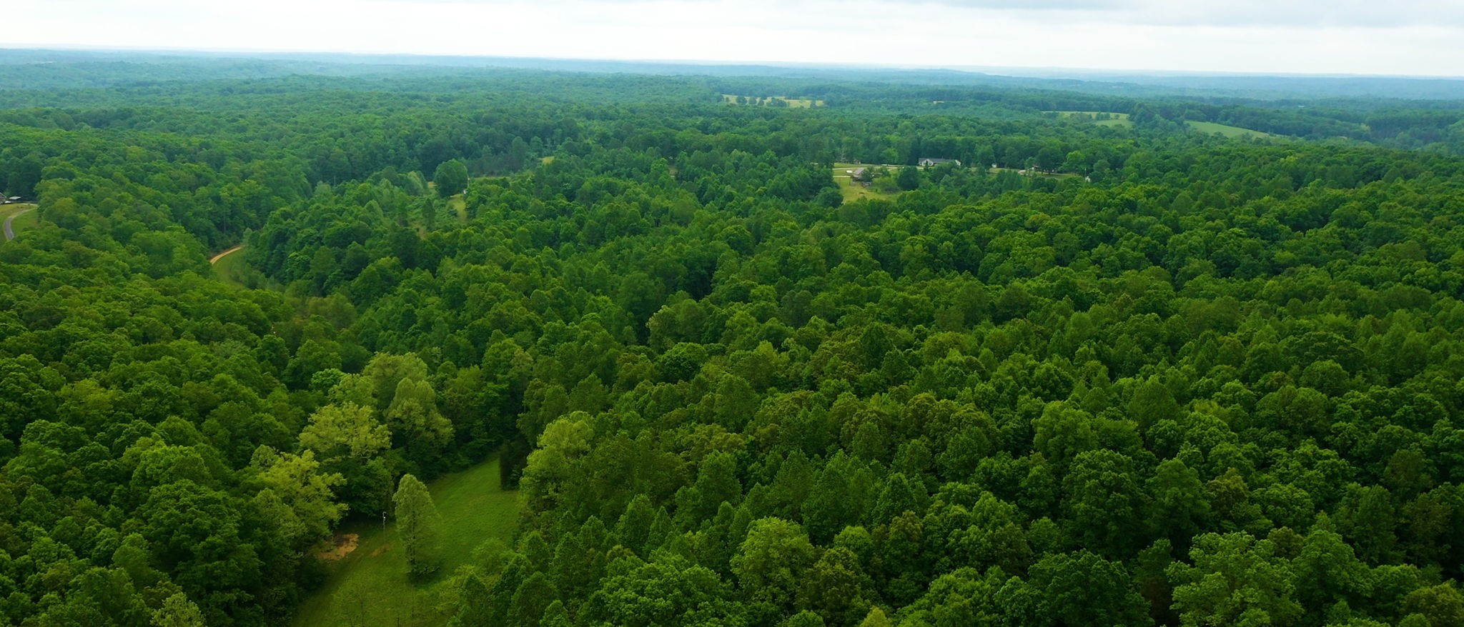 2100 Highway 13 Property Photo 30