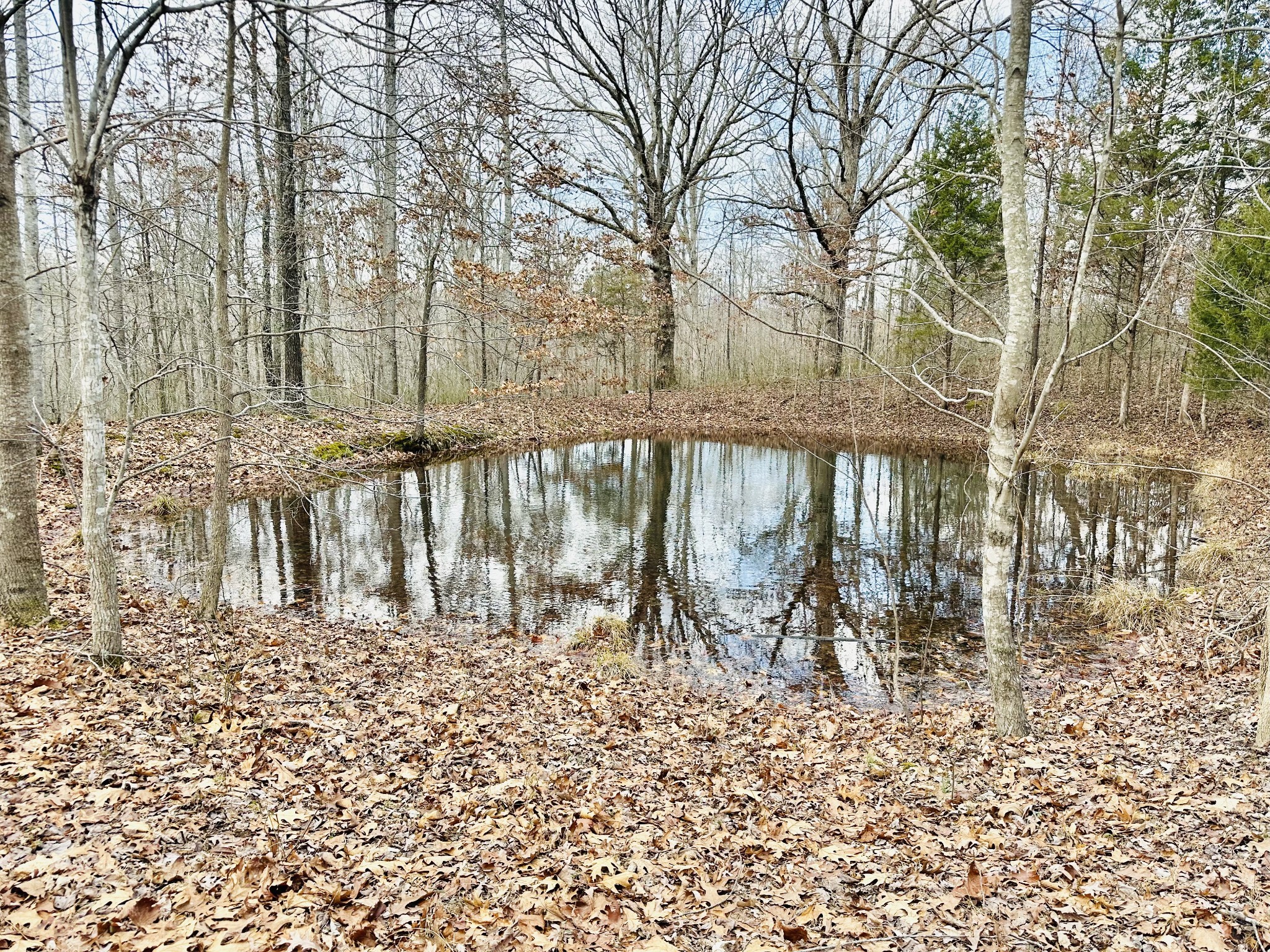 2100 Highway 13 Property Photo 31