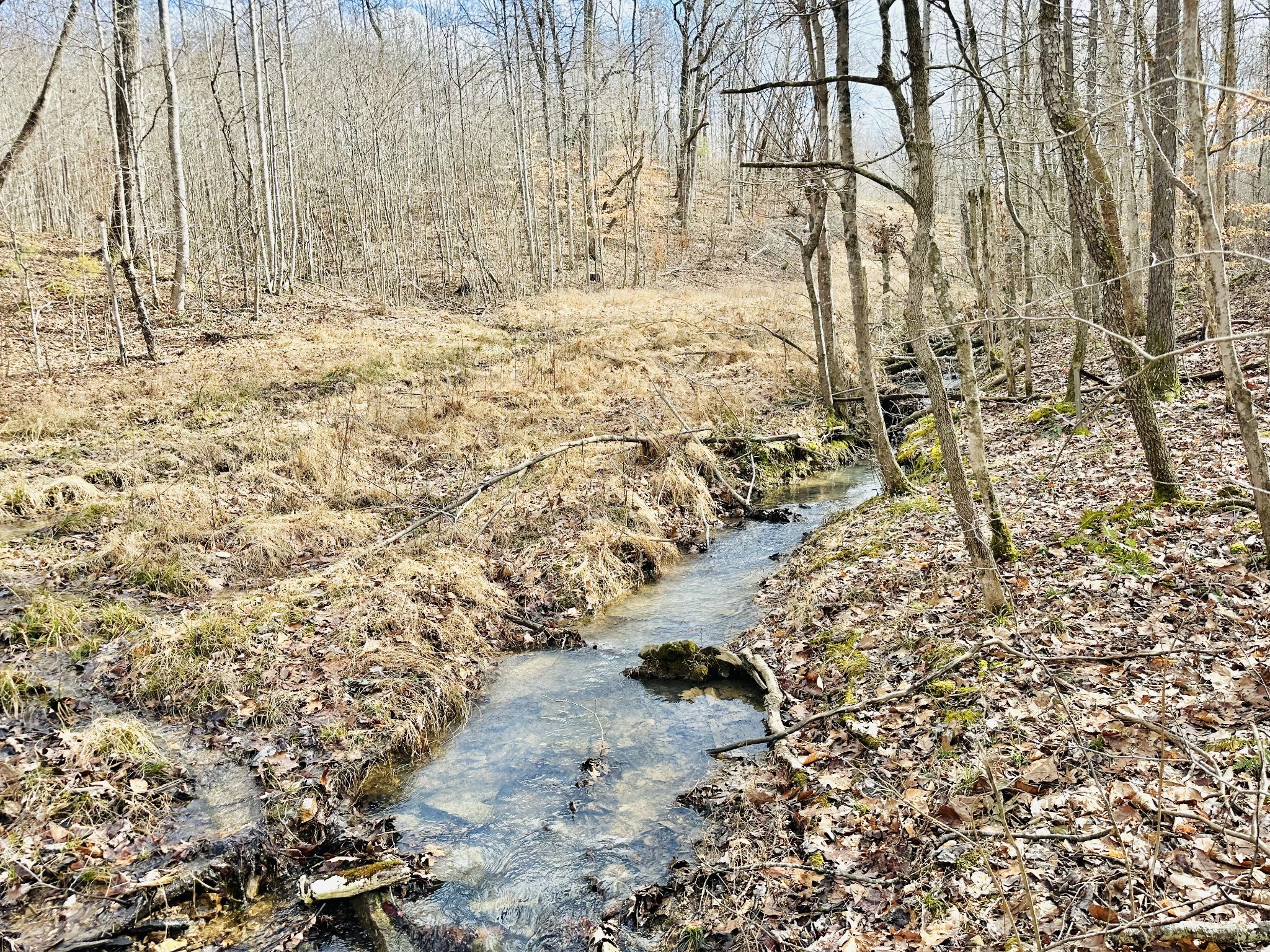 2100 Highway 13 Property Photo 32