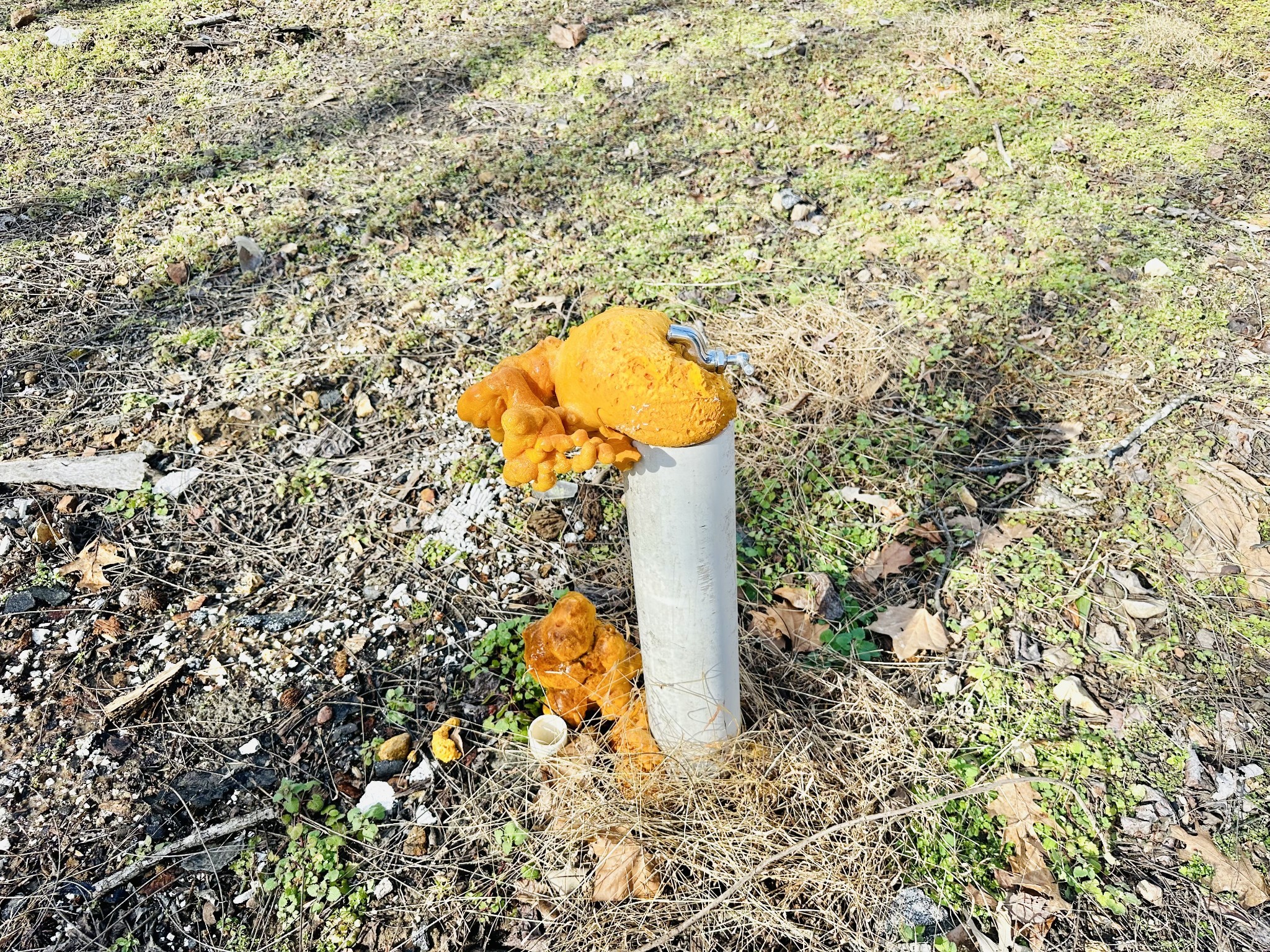 2100 Highway 13 Property Photo 35