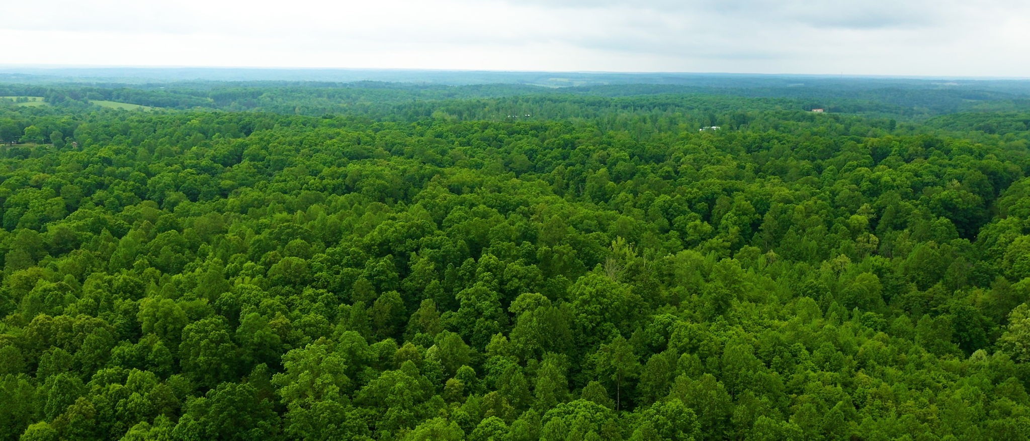 2100 Highway 13 Property Photo 36