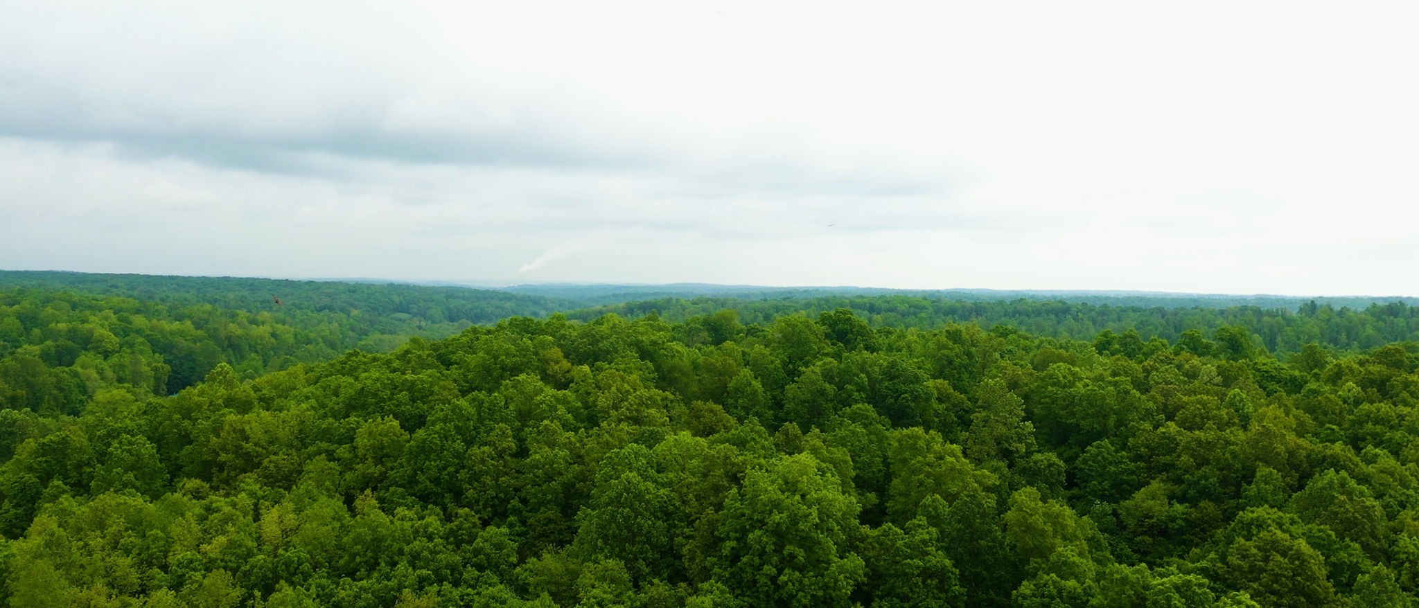 2100 Highway 13 Property Photo 37