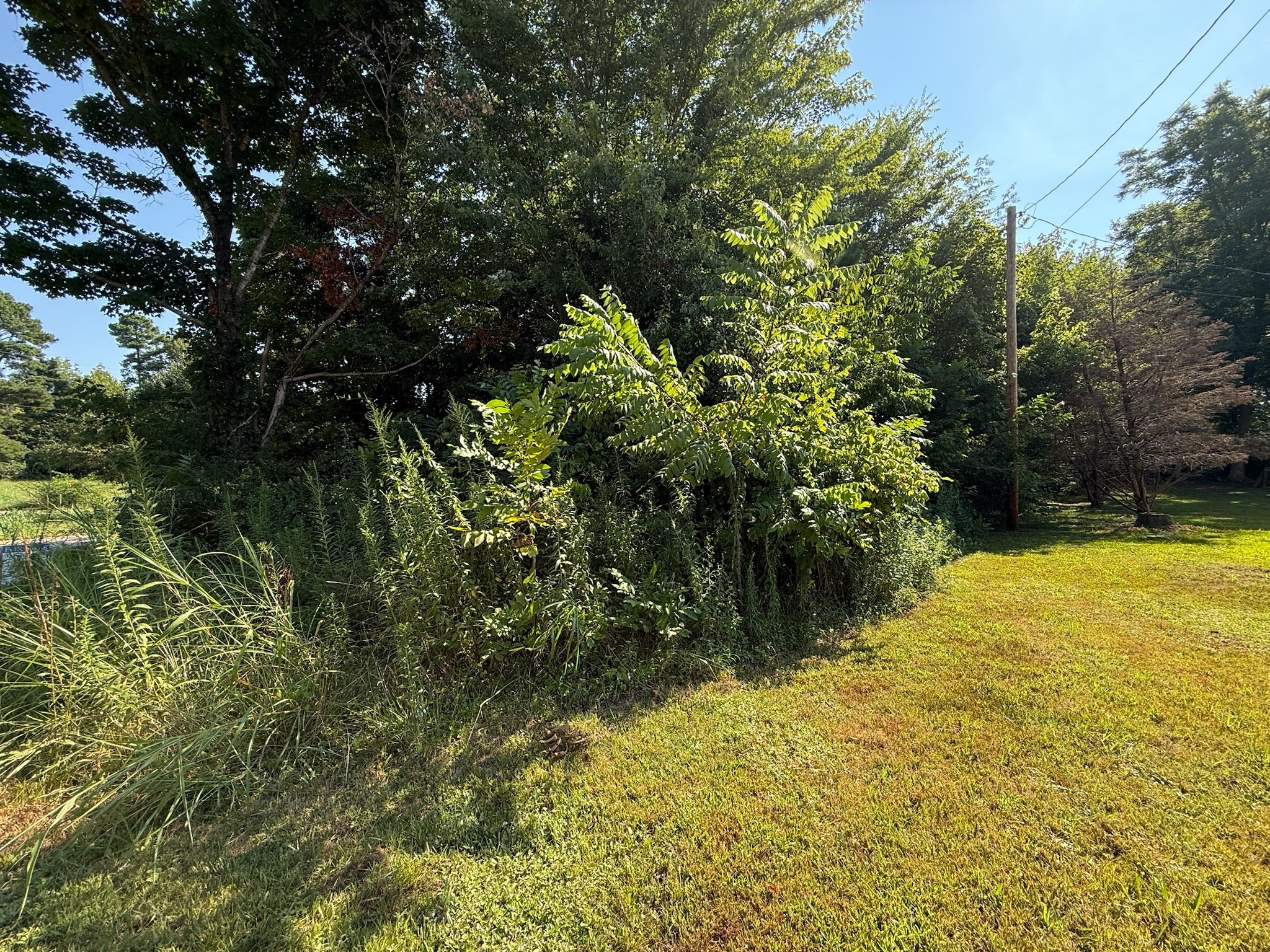 36 Morris Ct Property Photo 2