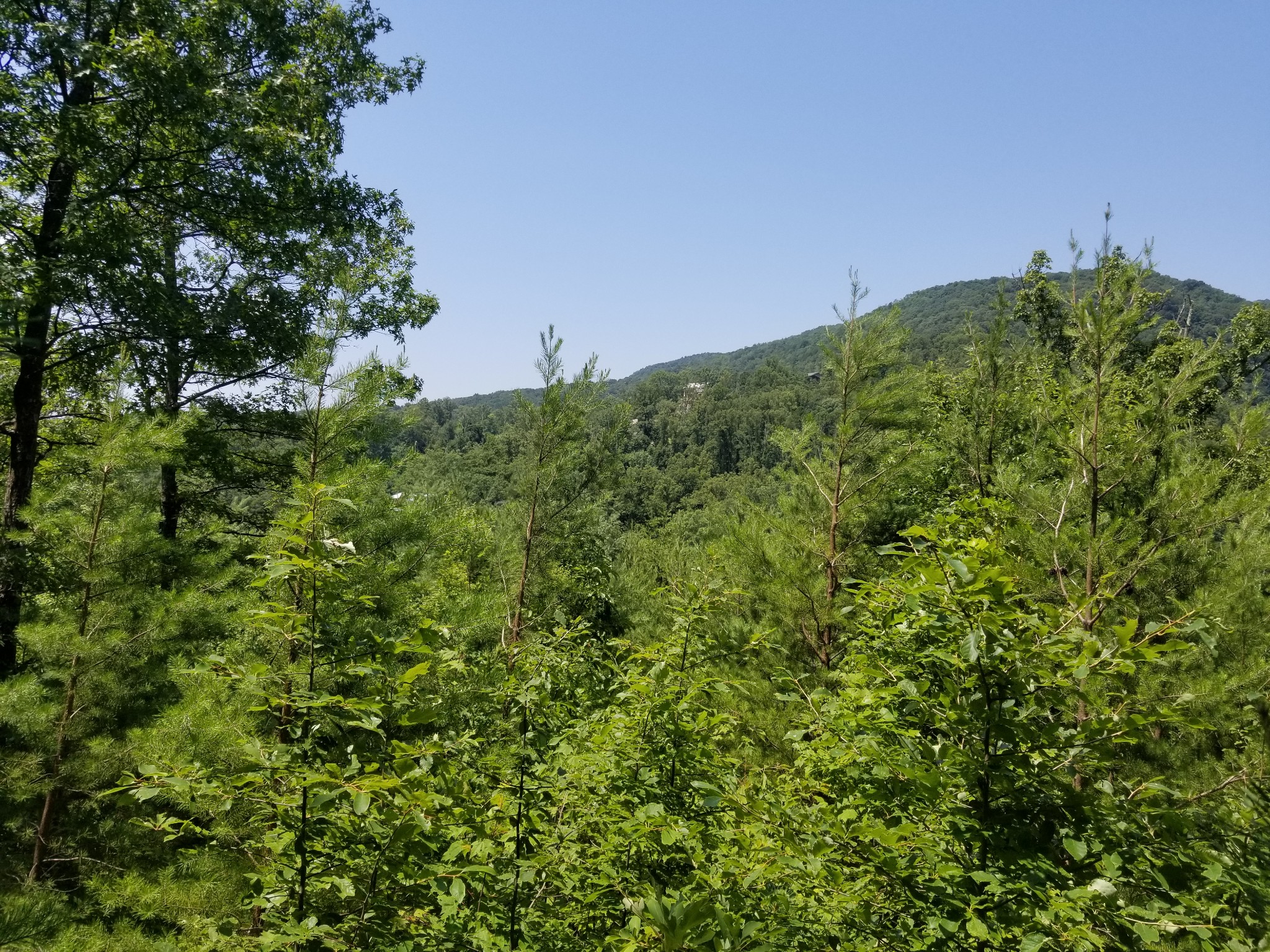 0 Fern Point Dr Property Photo 5