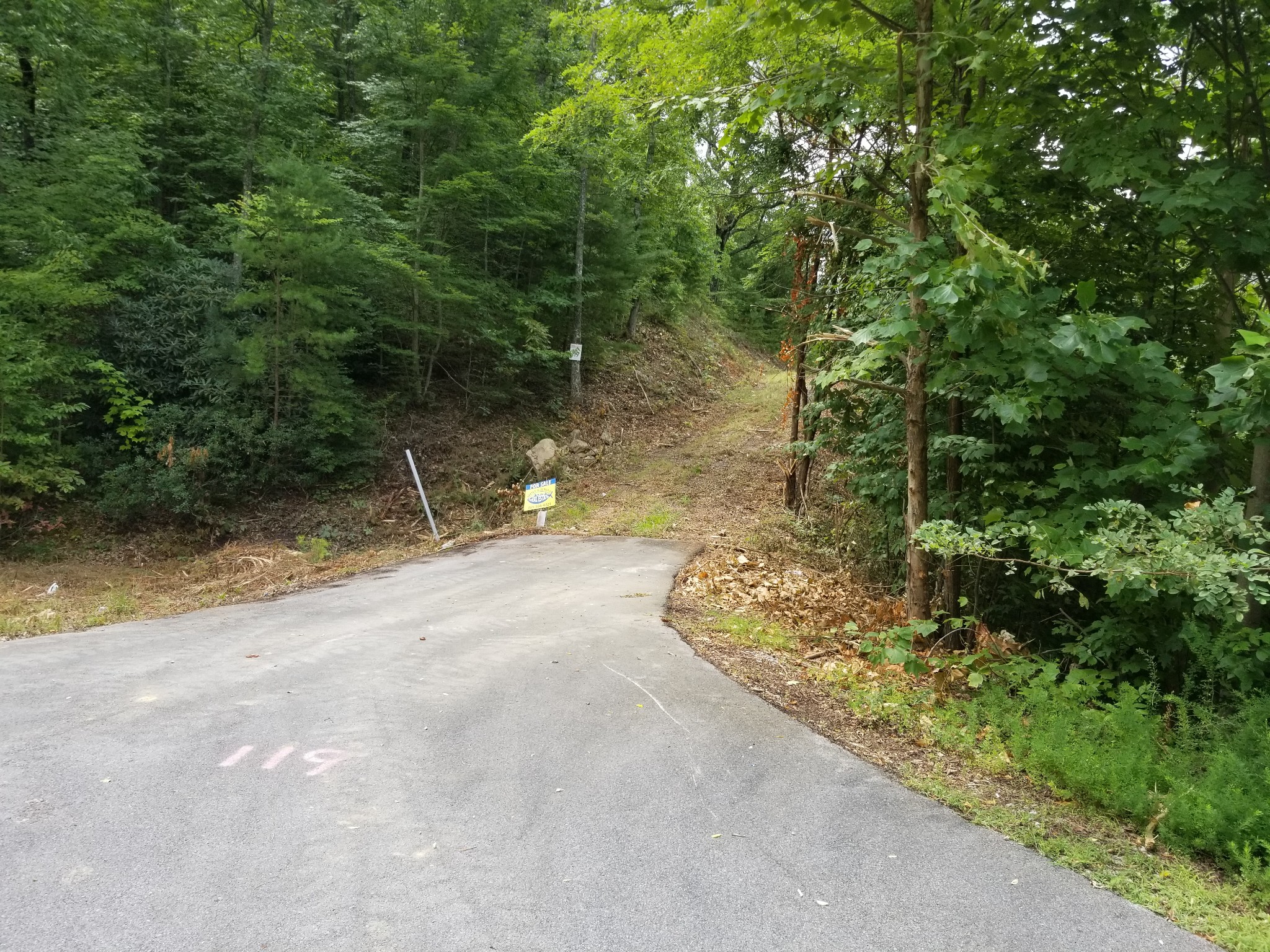 0 Fern Point Dr Property Photo 7