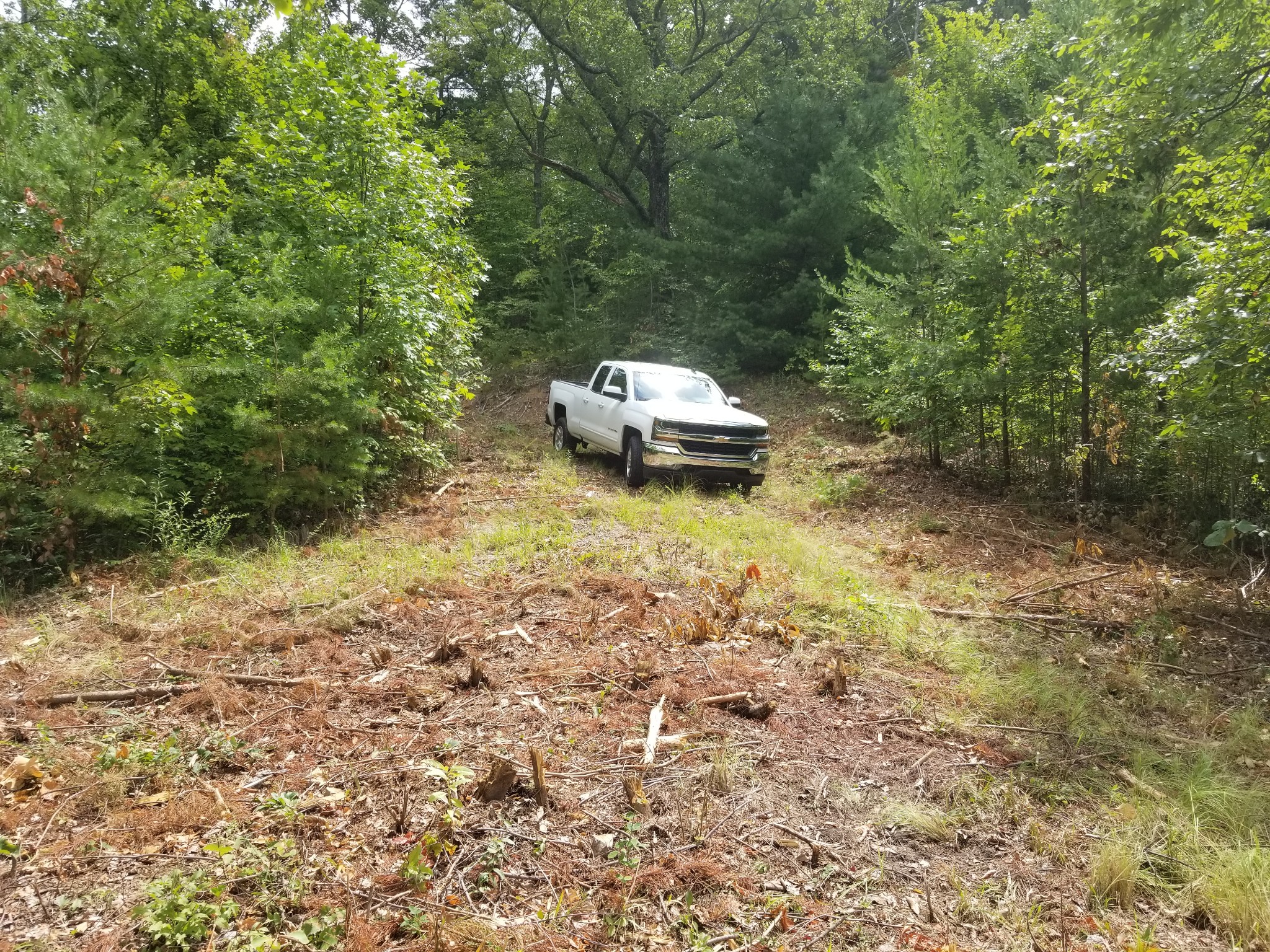 0 Fern Point Dr Property Photo 8