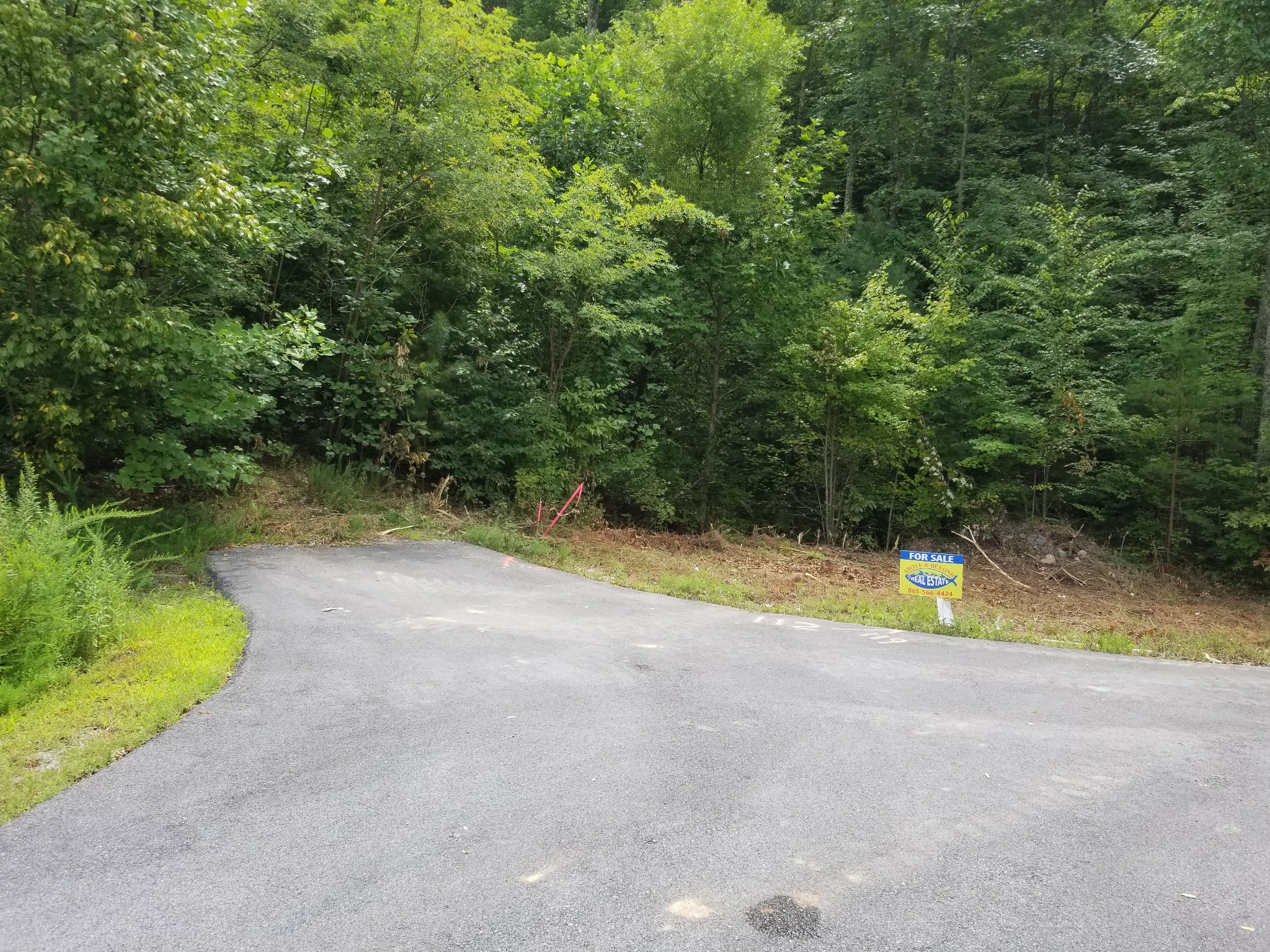 0 Fern Point Dr Property Photo 9