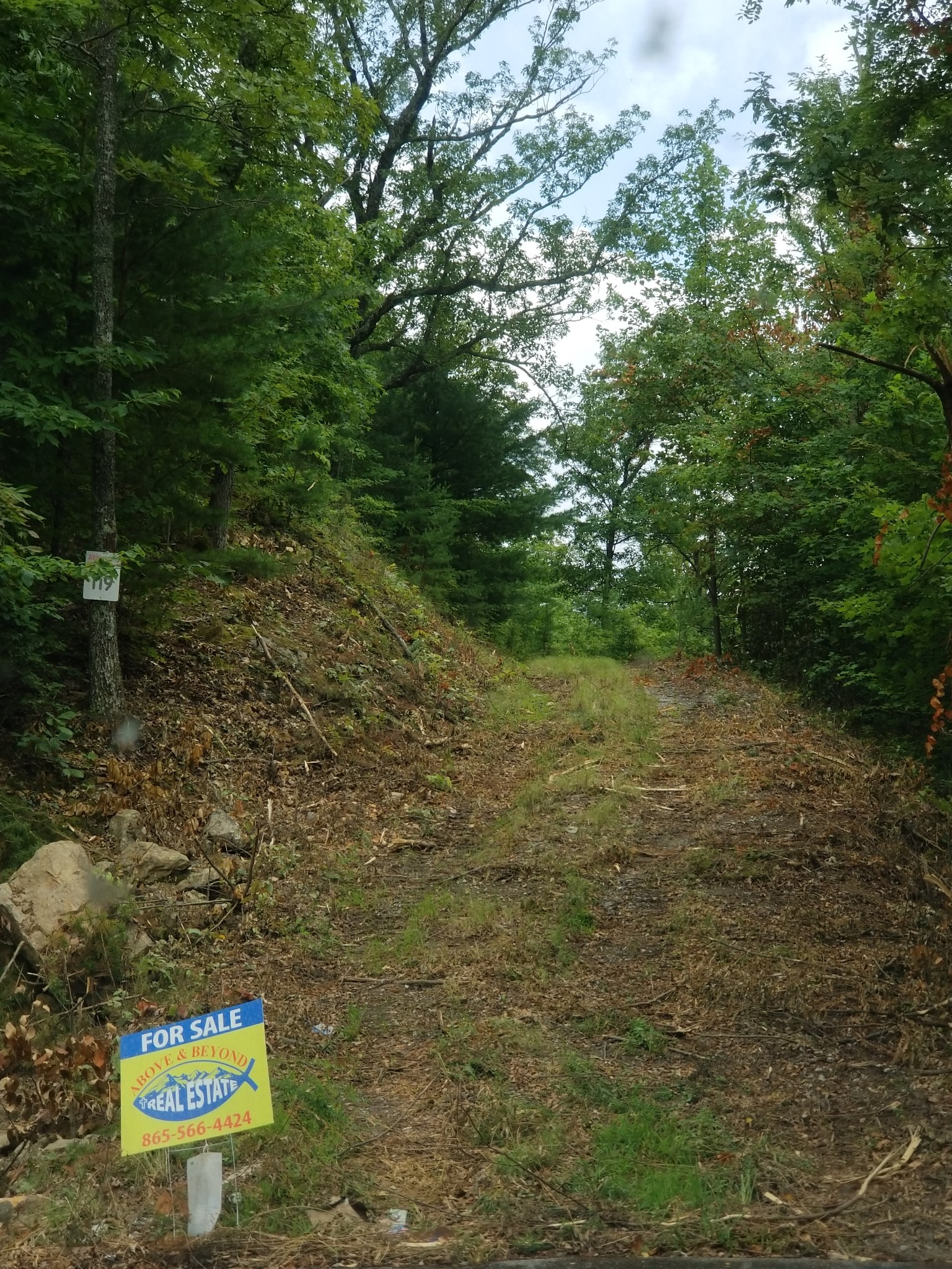 0 Fern Point Dr Property Photo 11