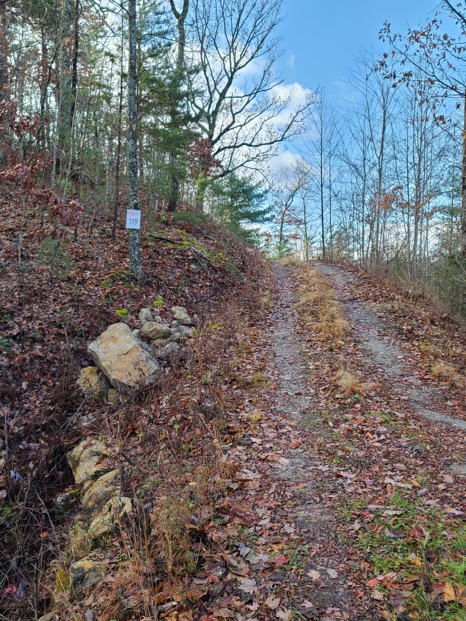 0 Fern Point Dr Property Photo 14