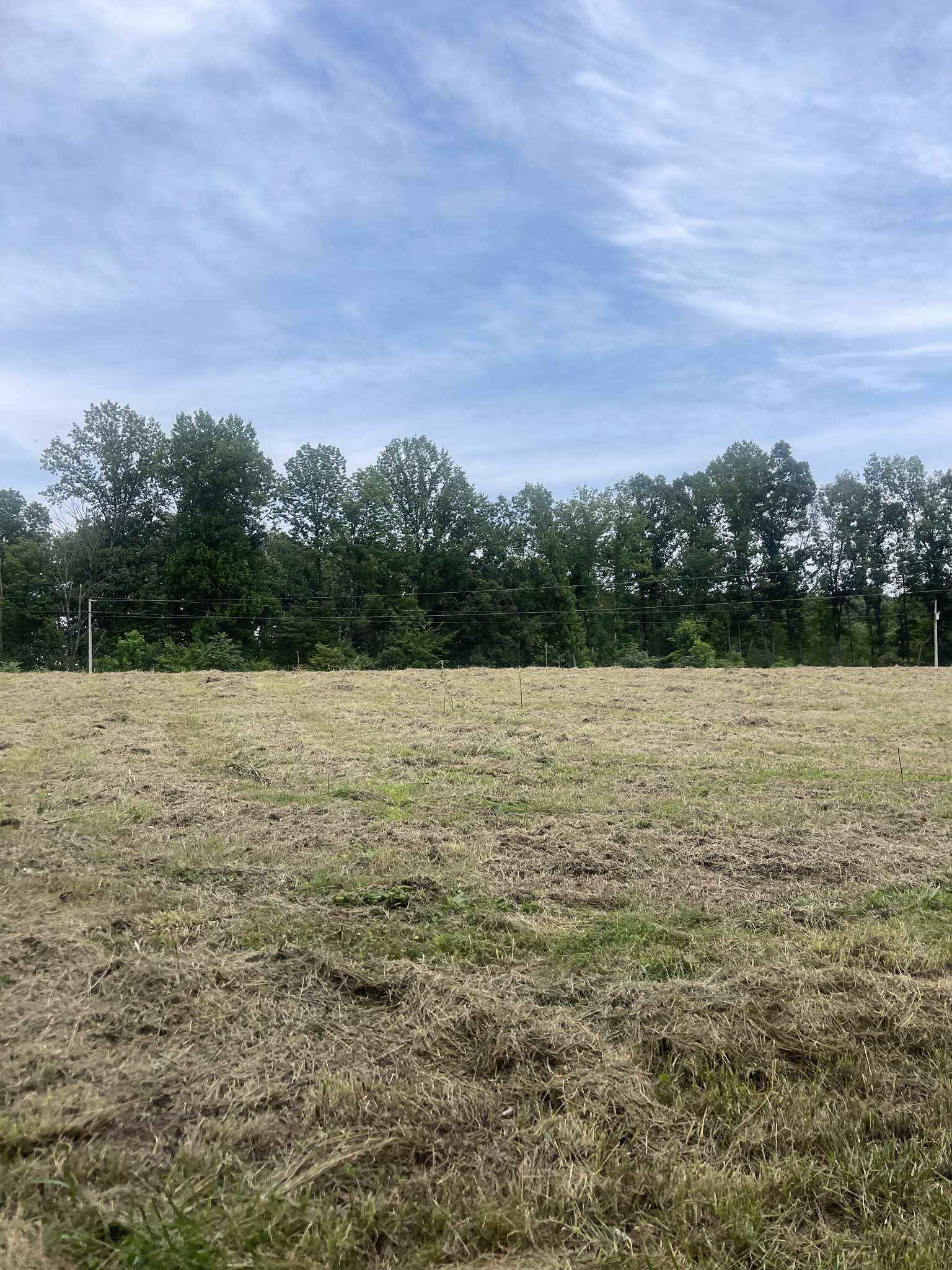 121 Magnolia Lane Property Photo 2