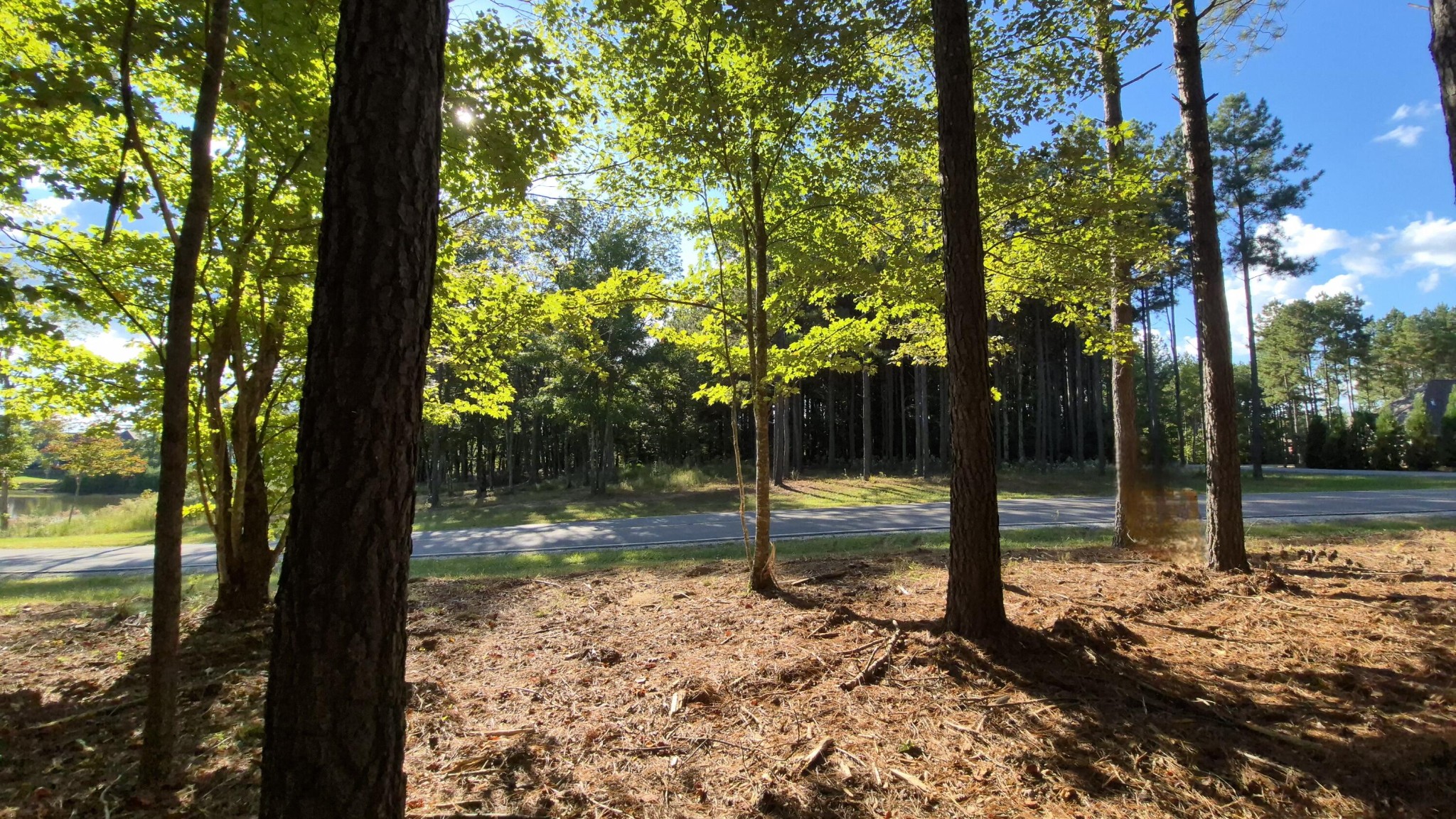 4560 Raulston Falls Road Property Photo 1
