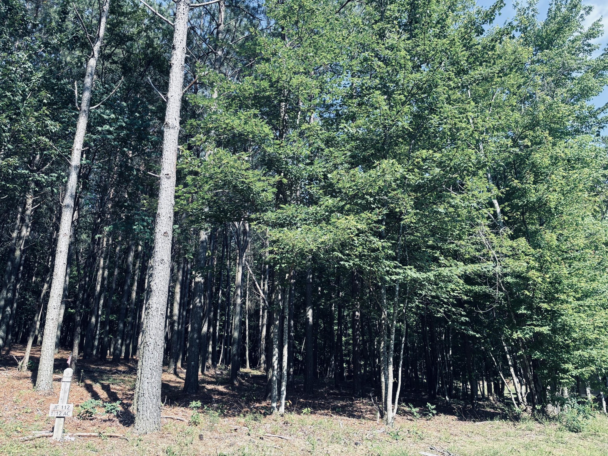4560 Raulston Falls Road Property Photo 5