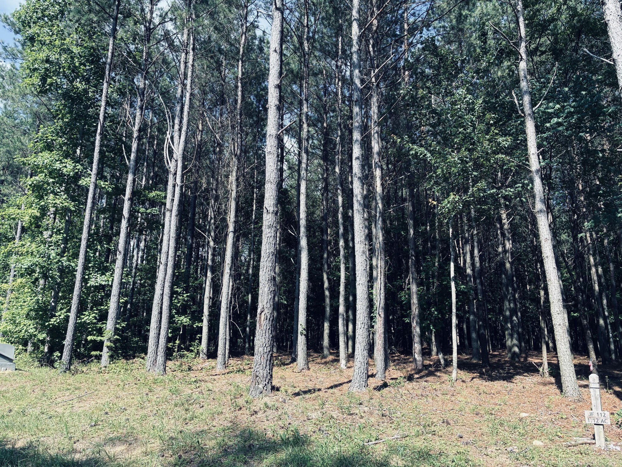4560 Raulston Falls Road Property Photo 6