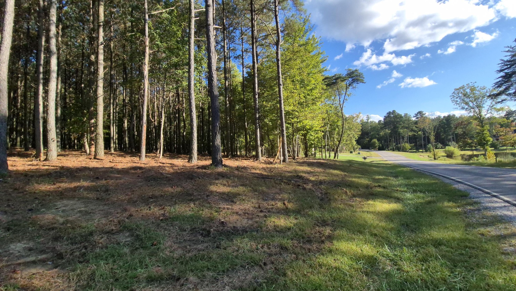 4560 Raulston Falls Road Property Photo 7