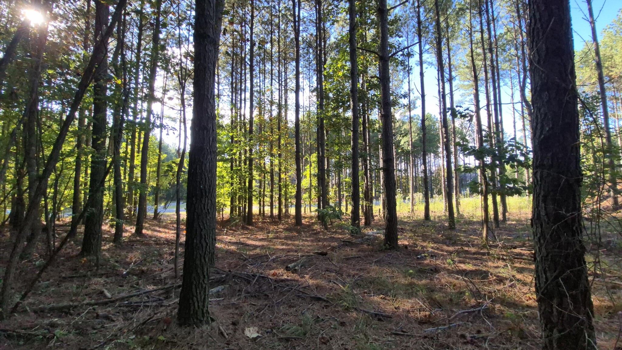 4560 Raulston Falls Road Property Photo 9
