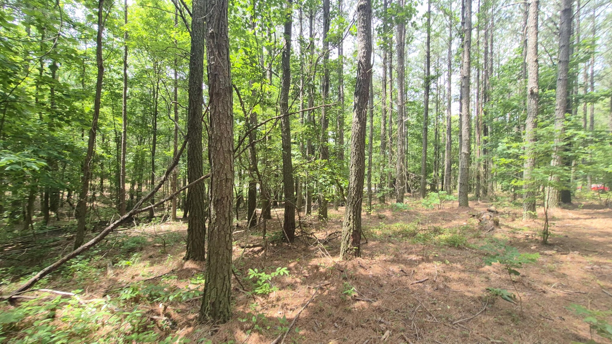 4560 Raulston Falls Road Property Photo 12