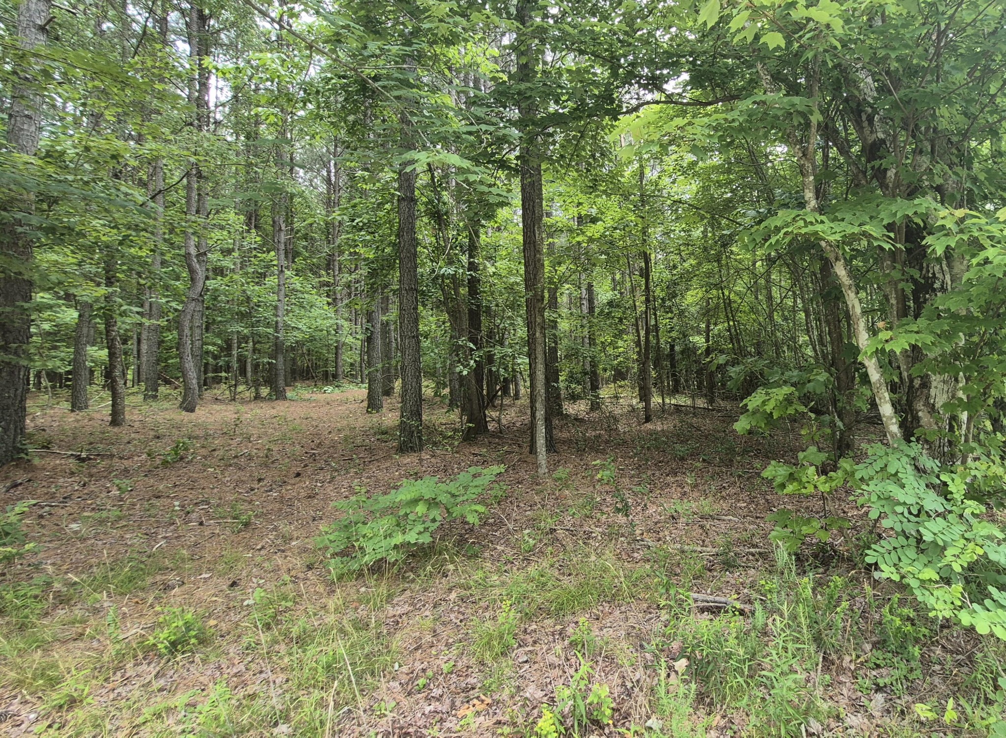 4560 Raulston Falls Road Property Photo 13