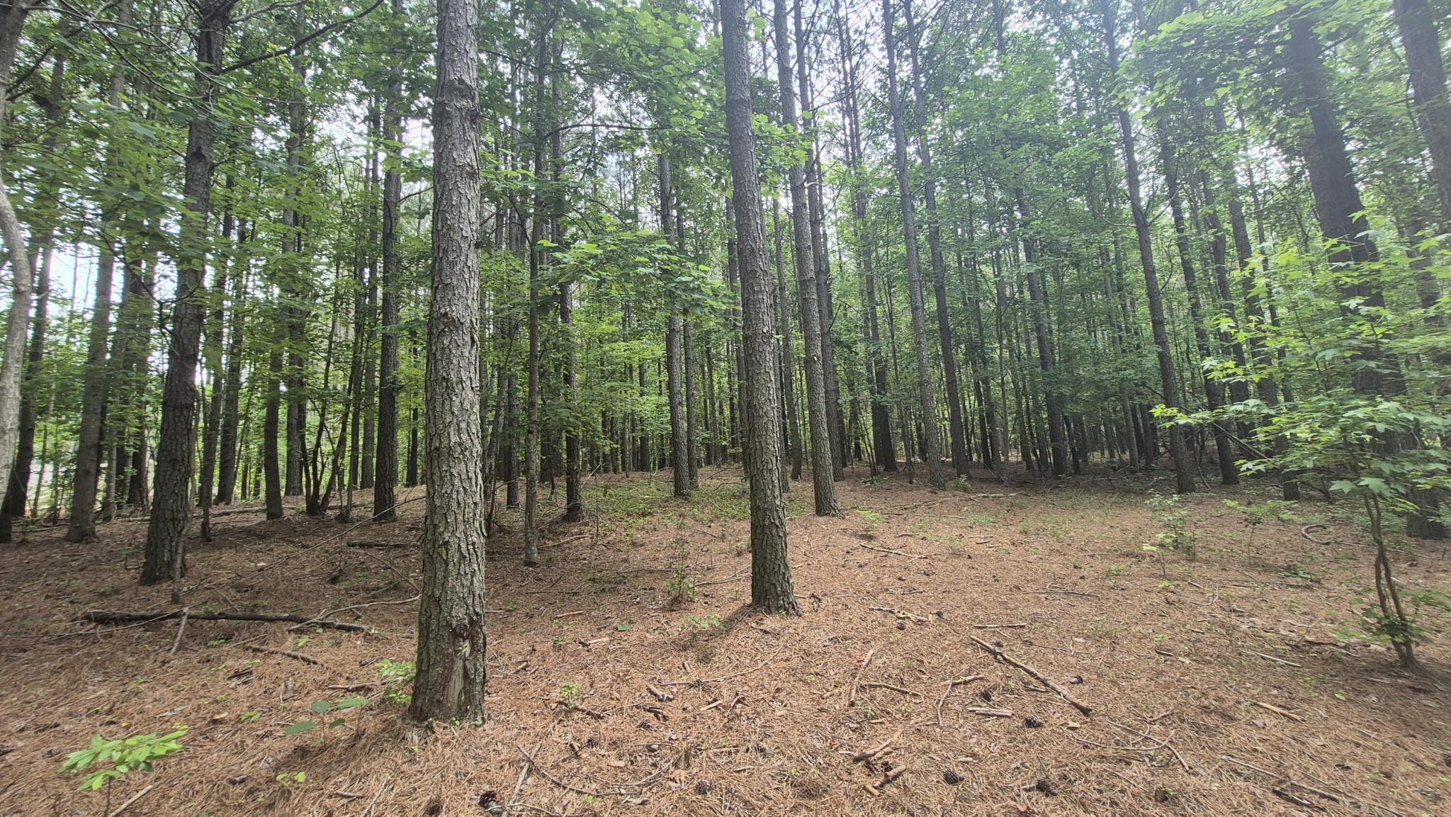 4560 Raulston Falls Road Property Photo 15