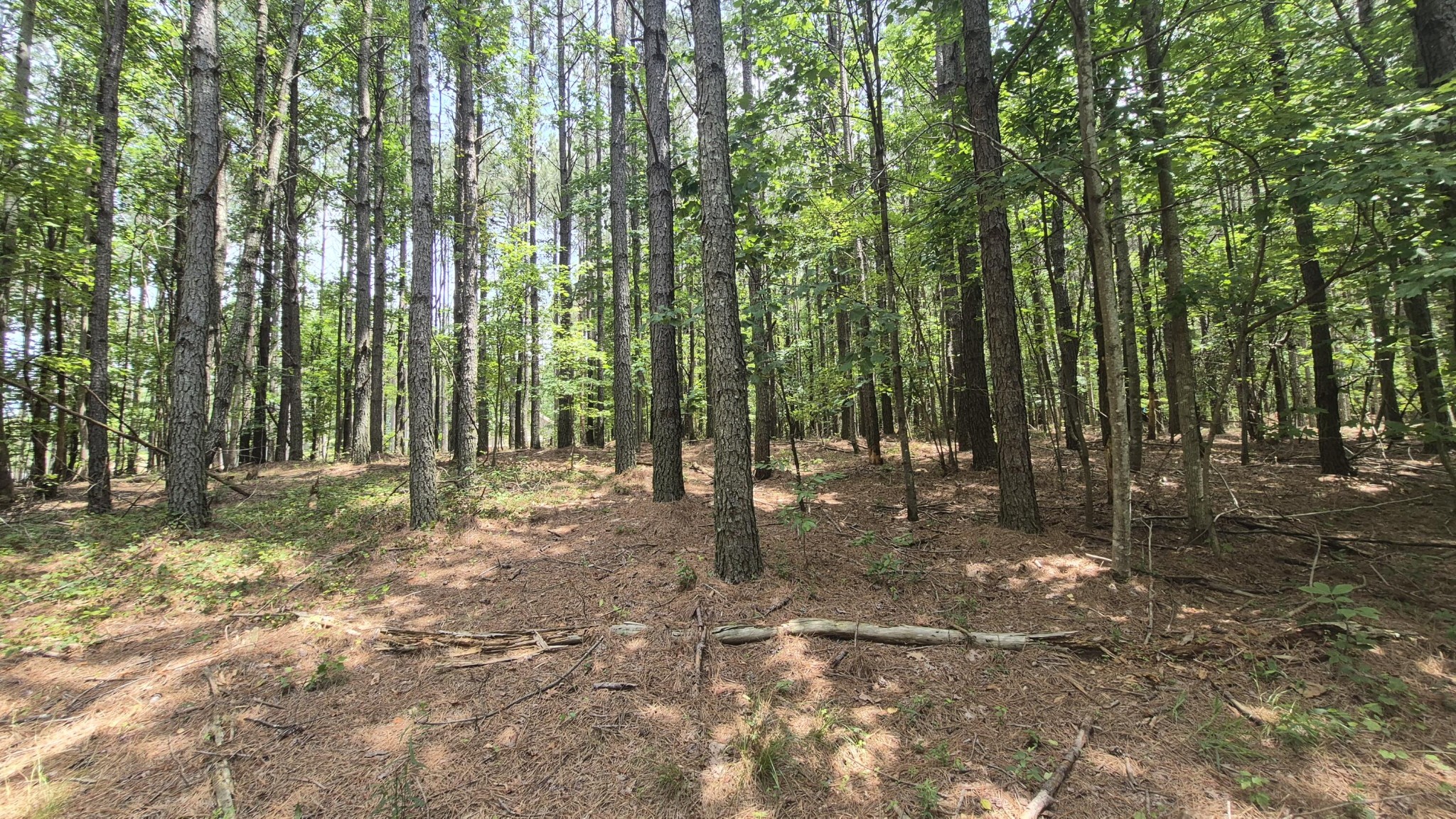 4560 Raulston Falls Road Property Photo 16