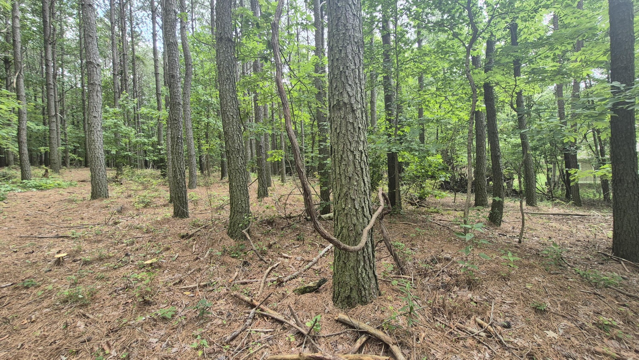 4560 Raulston Falls Road Property Photo 17