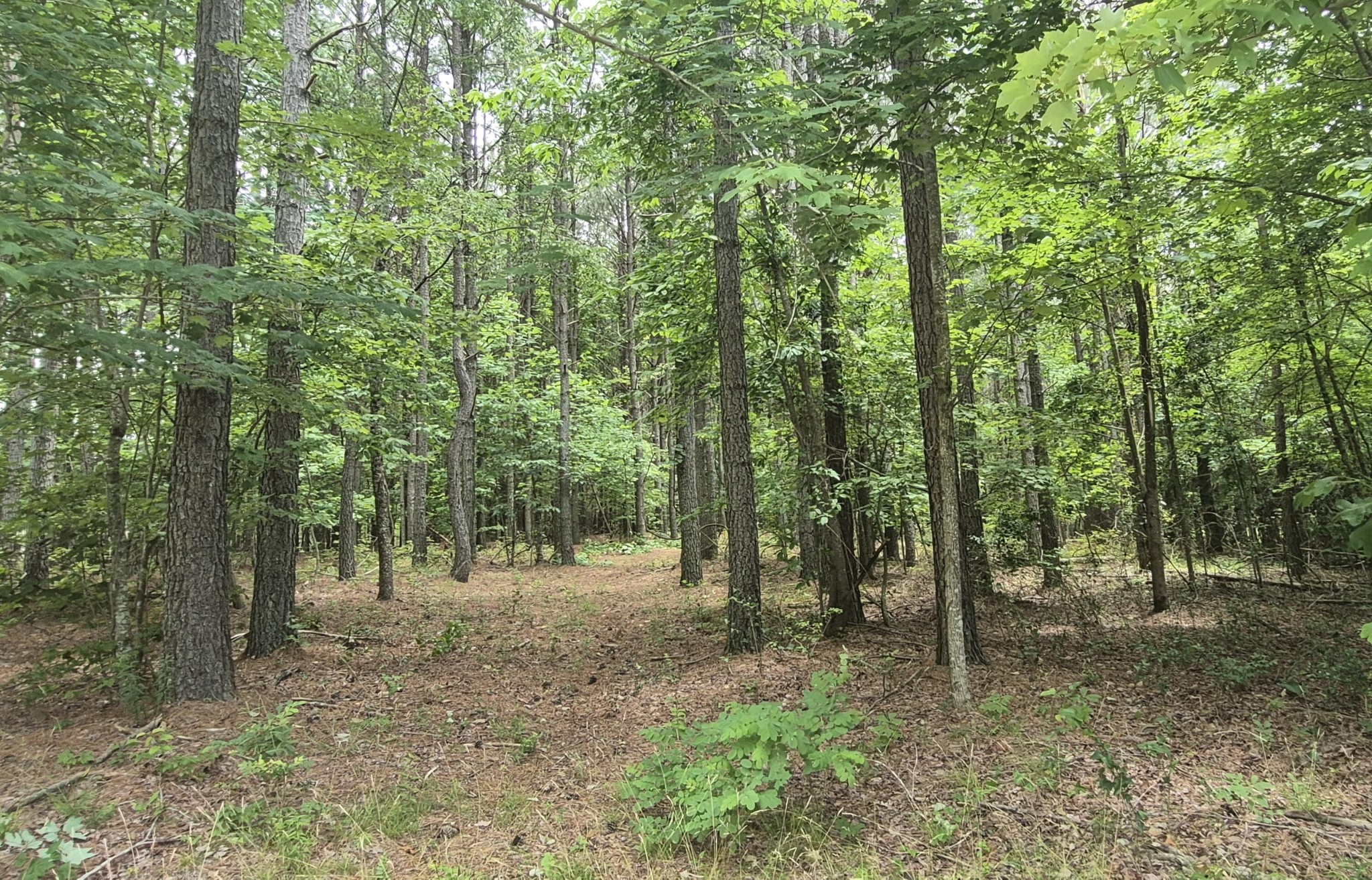 4560 Raulston Falls Road Property Photo 18