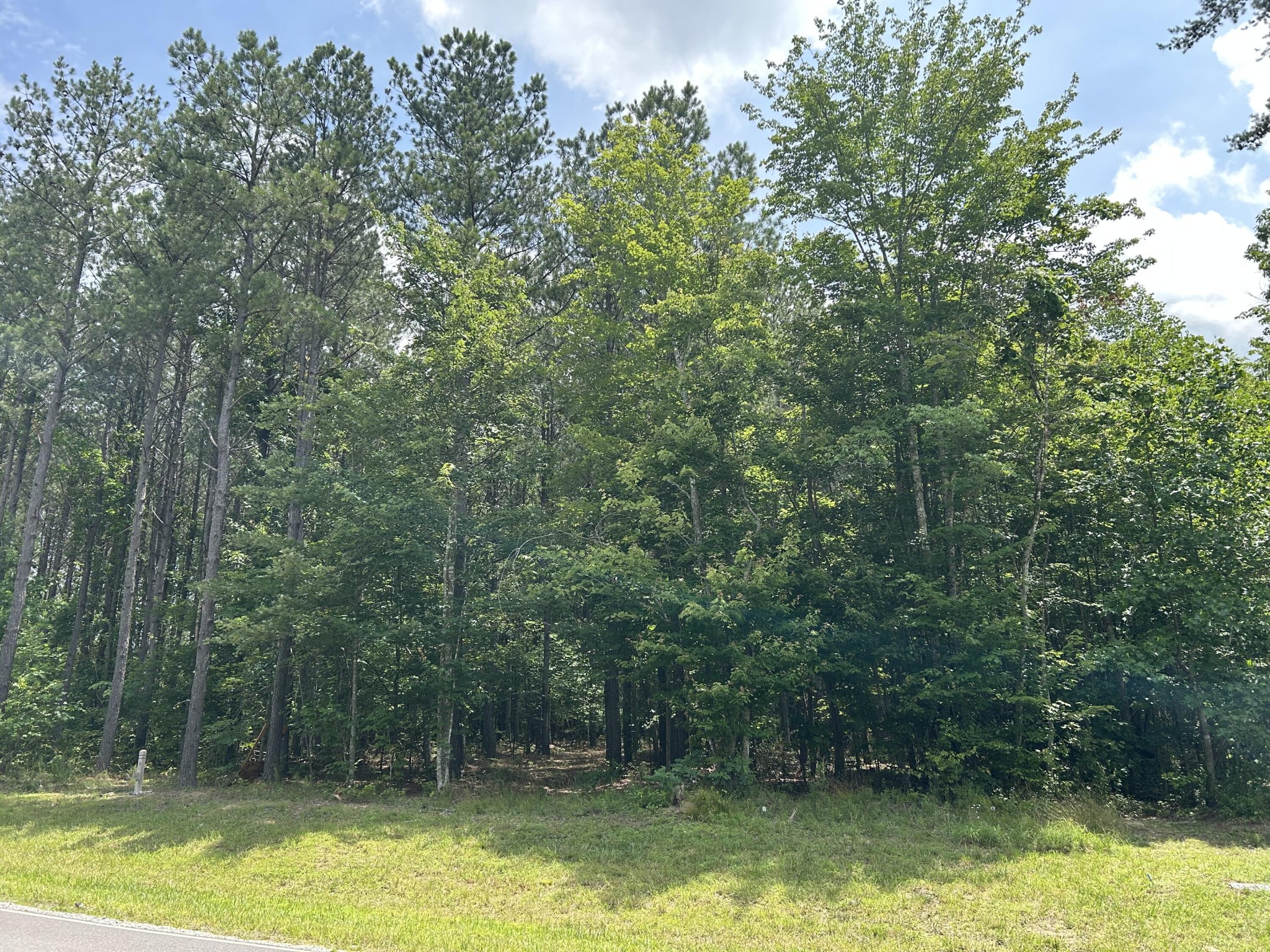 4560 Raulston Falls Road Property Photo 20