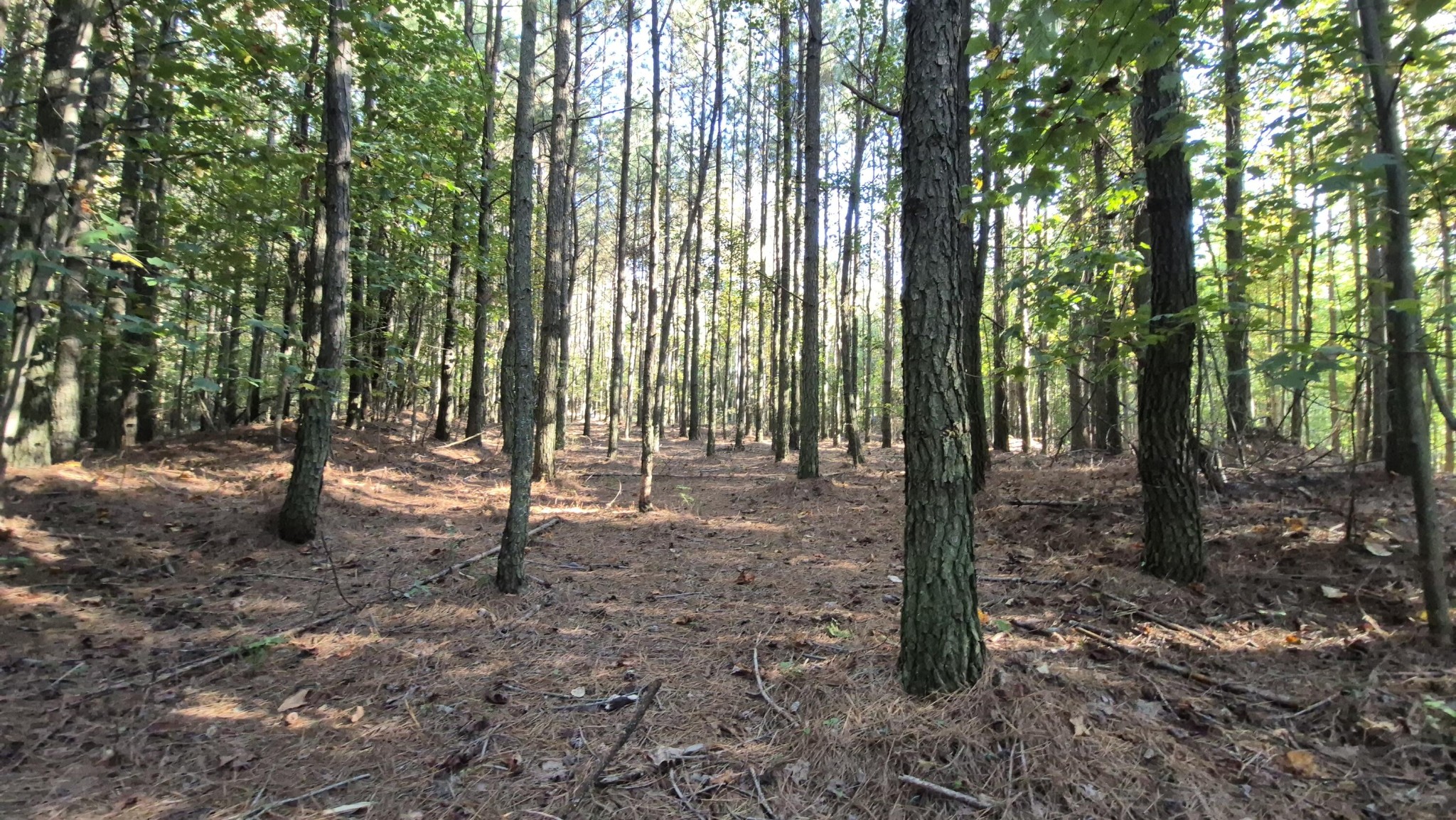 4560 Raulston Falls Road Property Photo 22