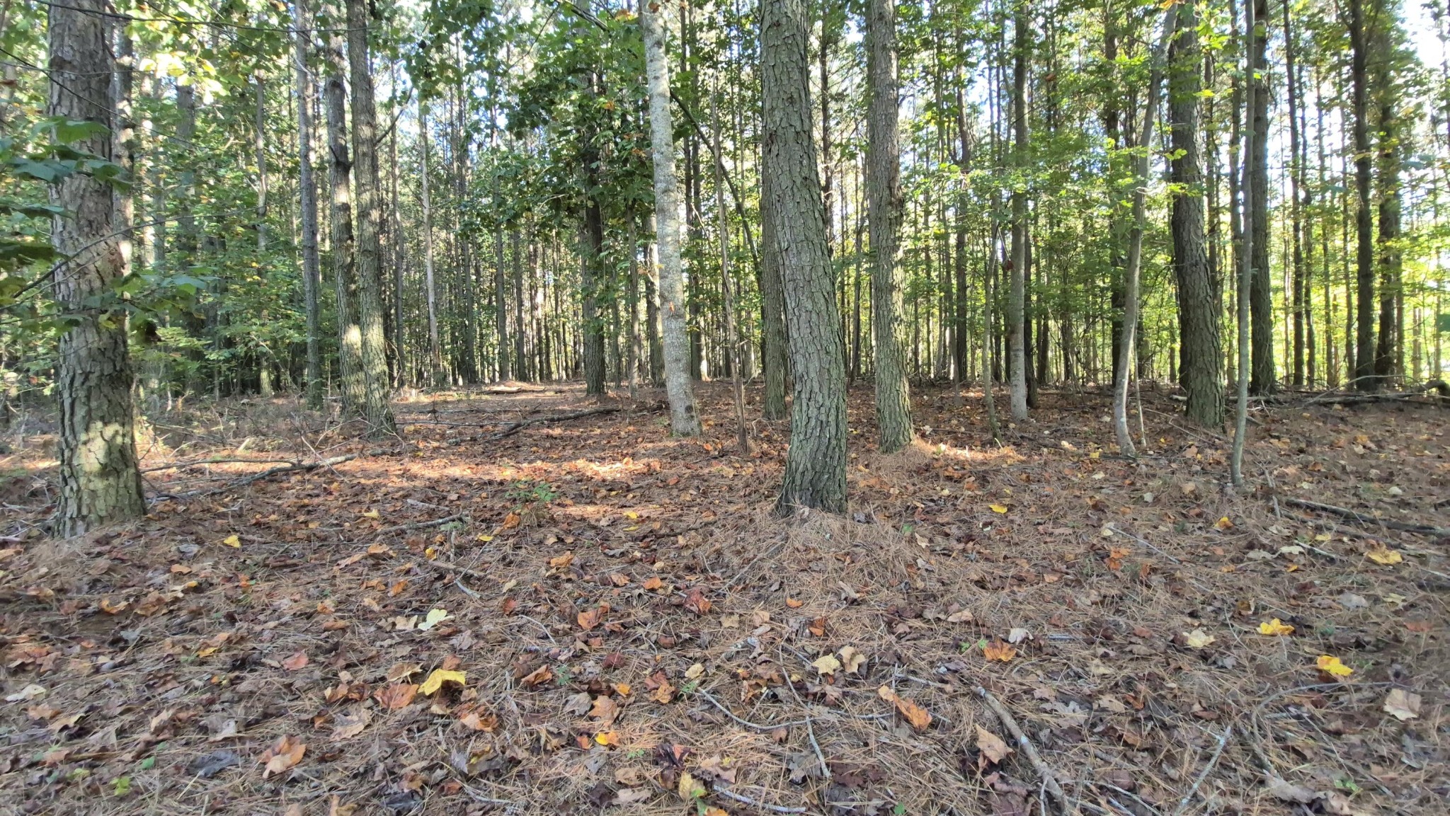 4560 Raulston Falls Road Property Photo 23