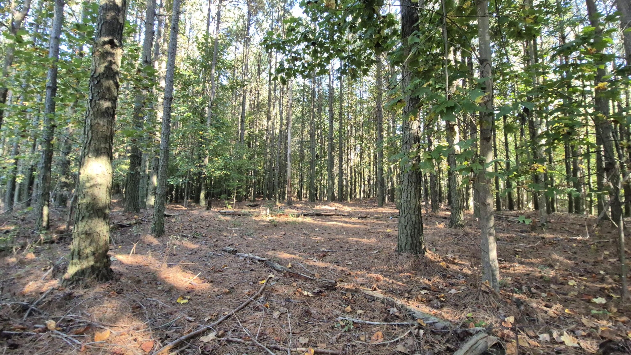 4560 Raulston Falls Road Property Photo 24