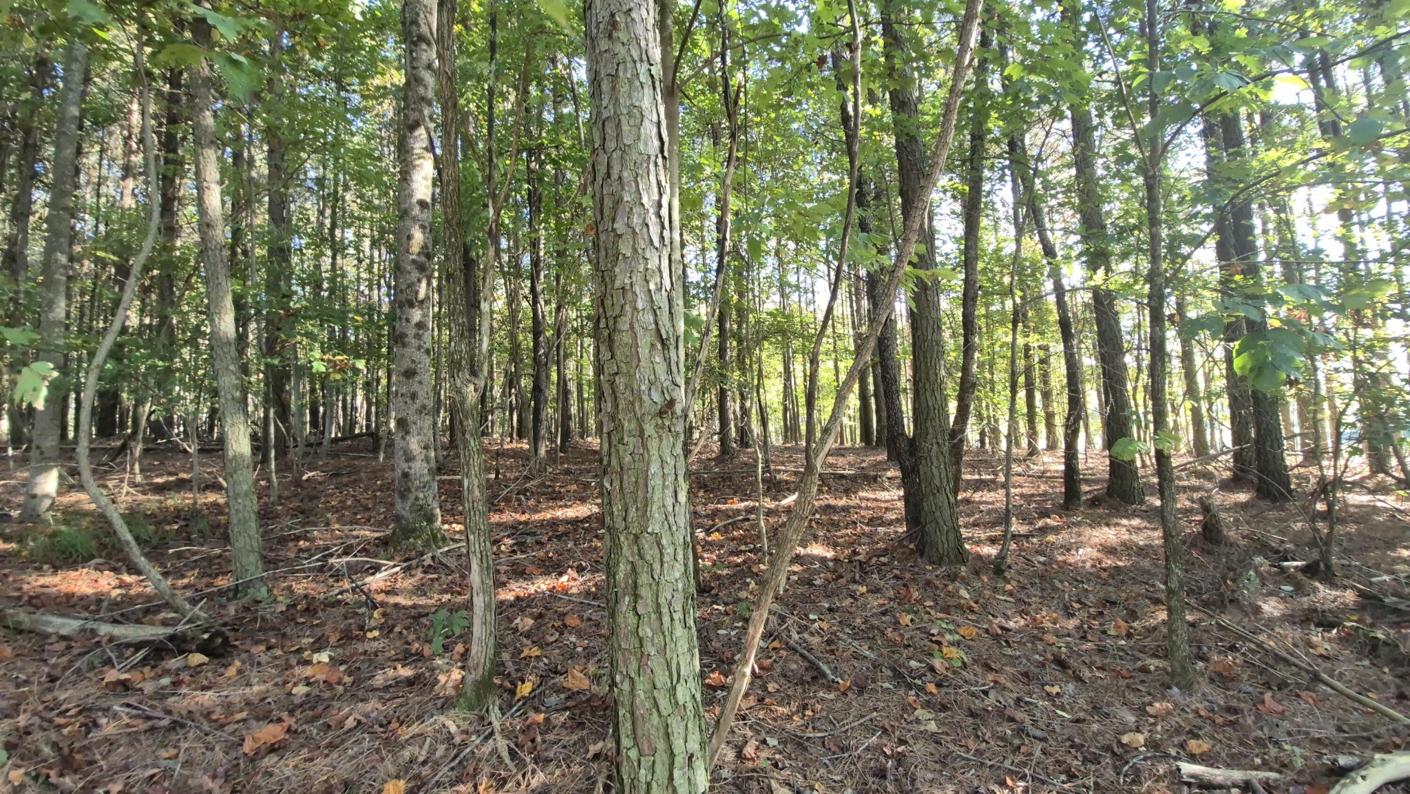 4560 Raulston Falls Road Property Photo 25