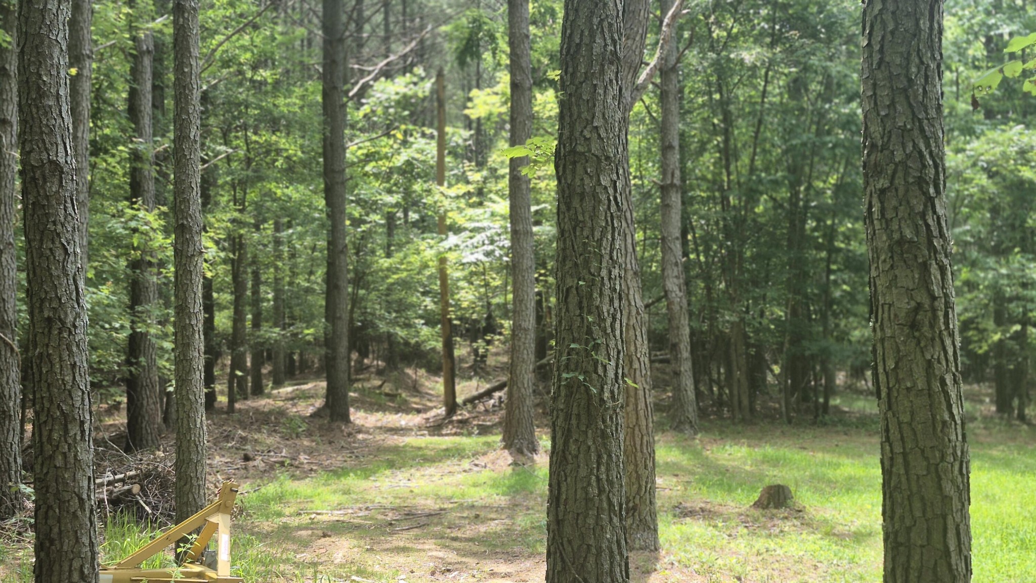 4560 Raulston Falls Road Property Photo 27