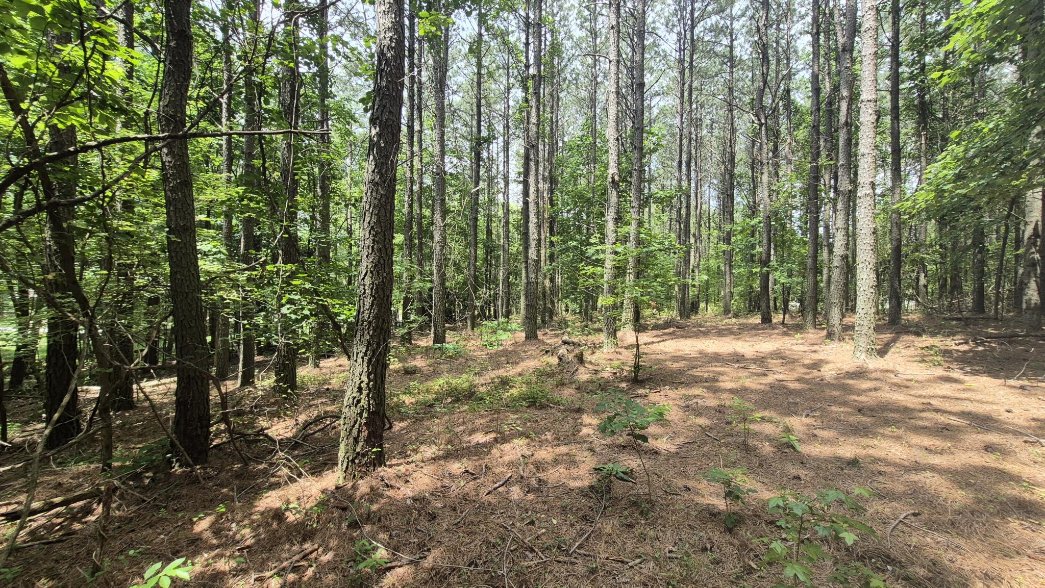 4560 Raulston Falls Road Property Photo 28