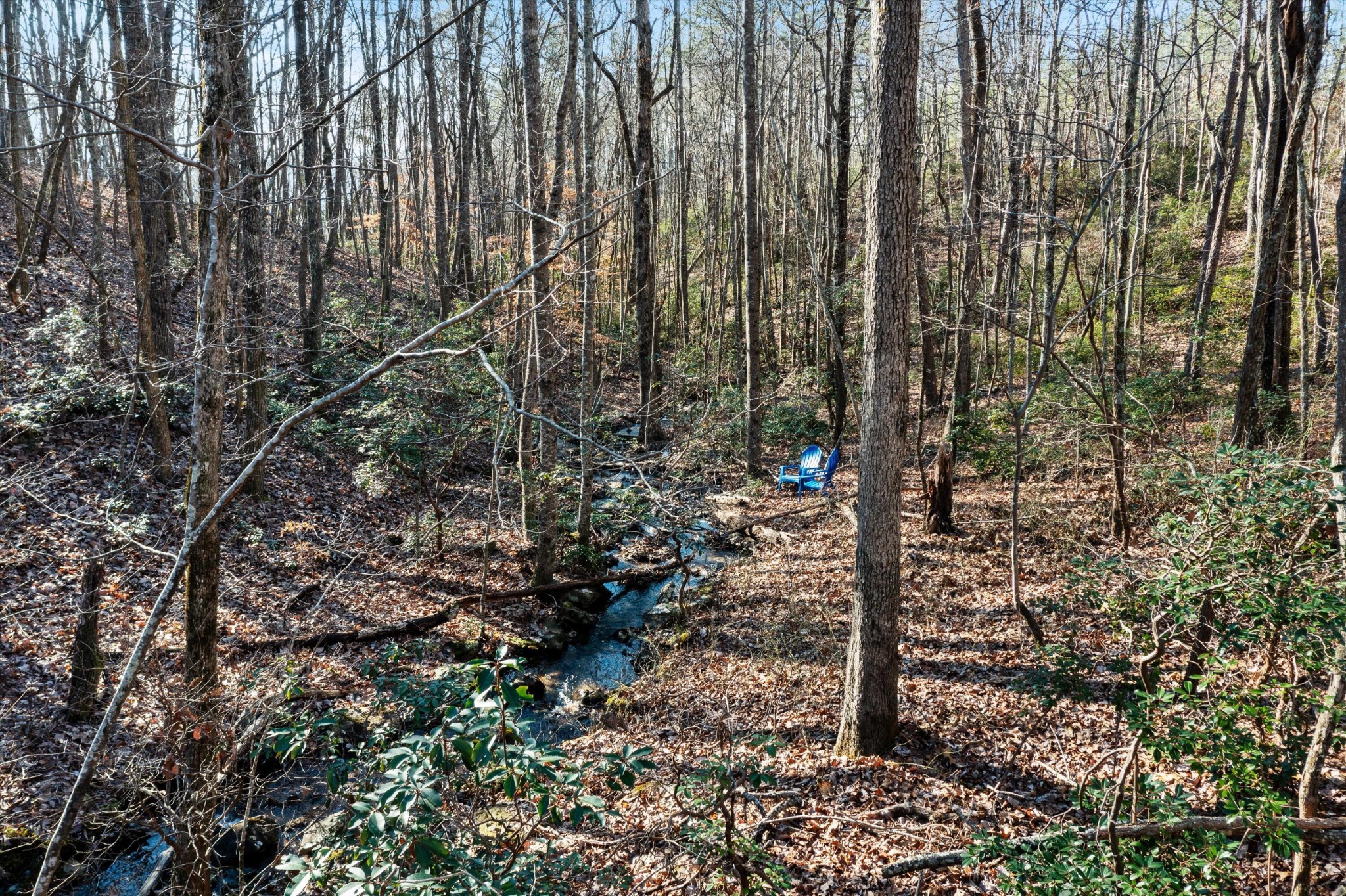 0 Cherokee Path Property Photo 4