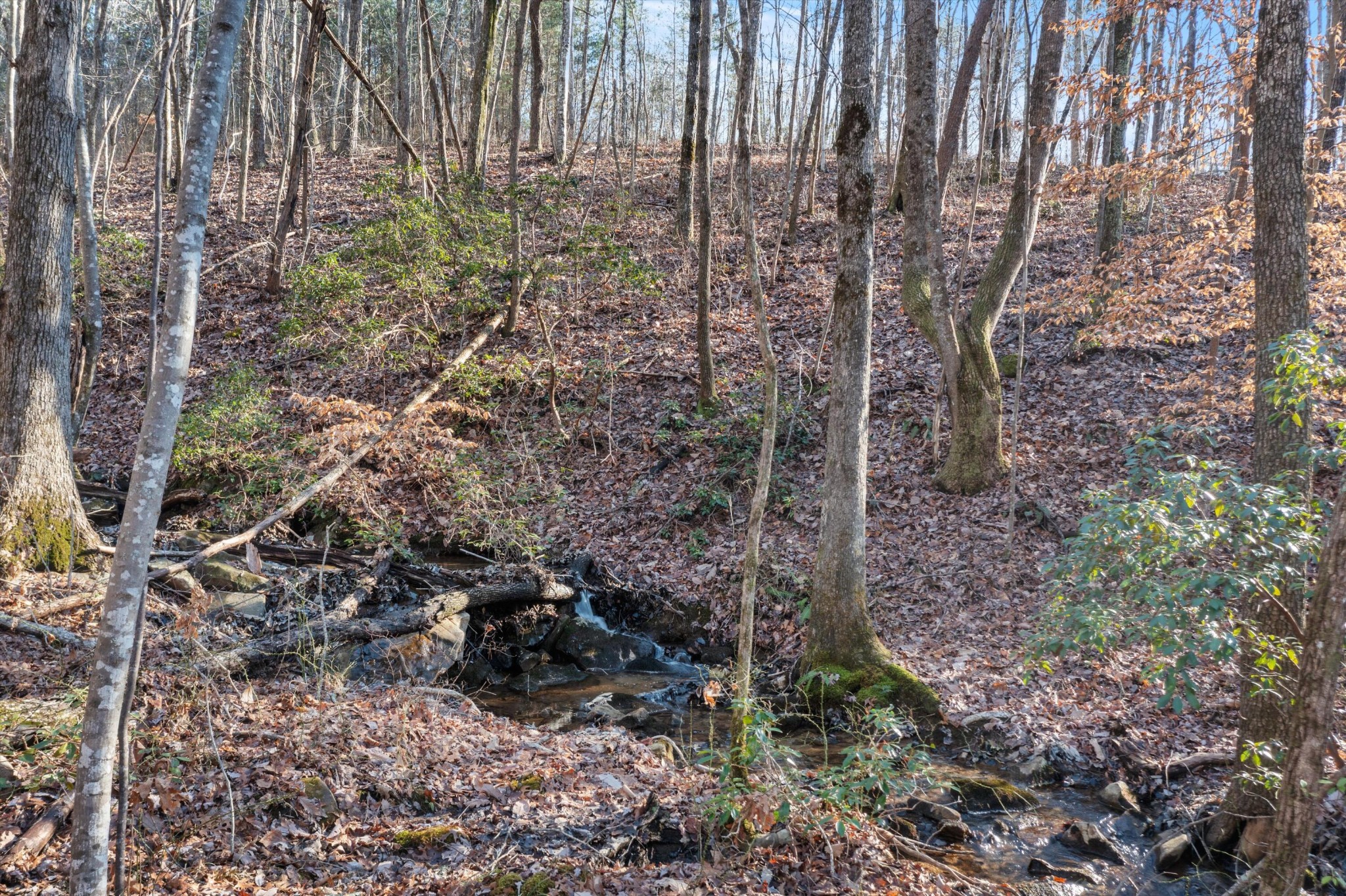 0 Cherokee Path Property Photo 5