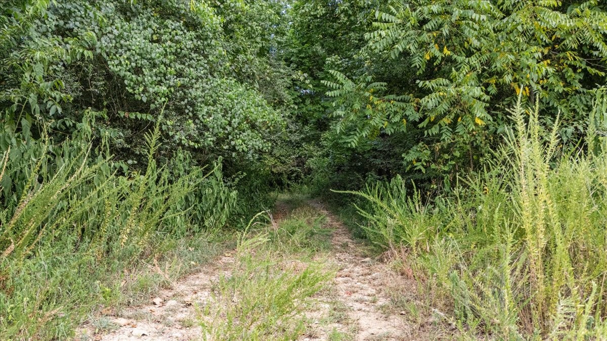 0 Nix Lane Property Photo 11