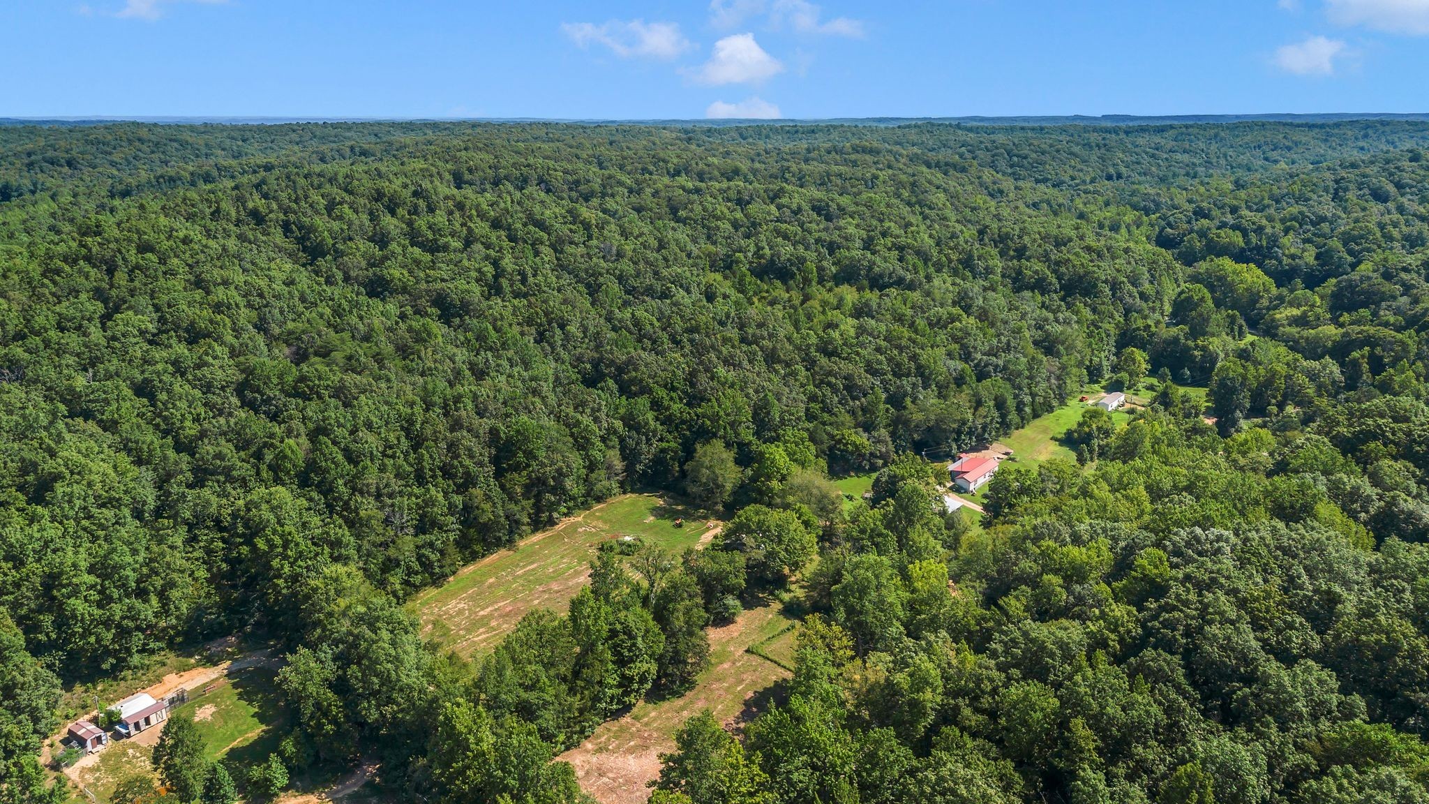 1369 Tanner Hollow Rd Property Photo 2