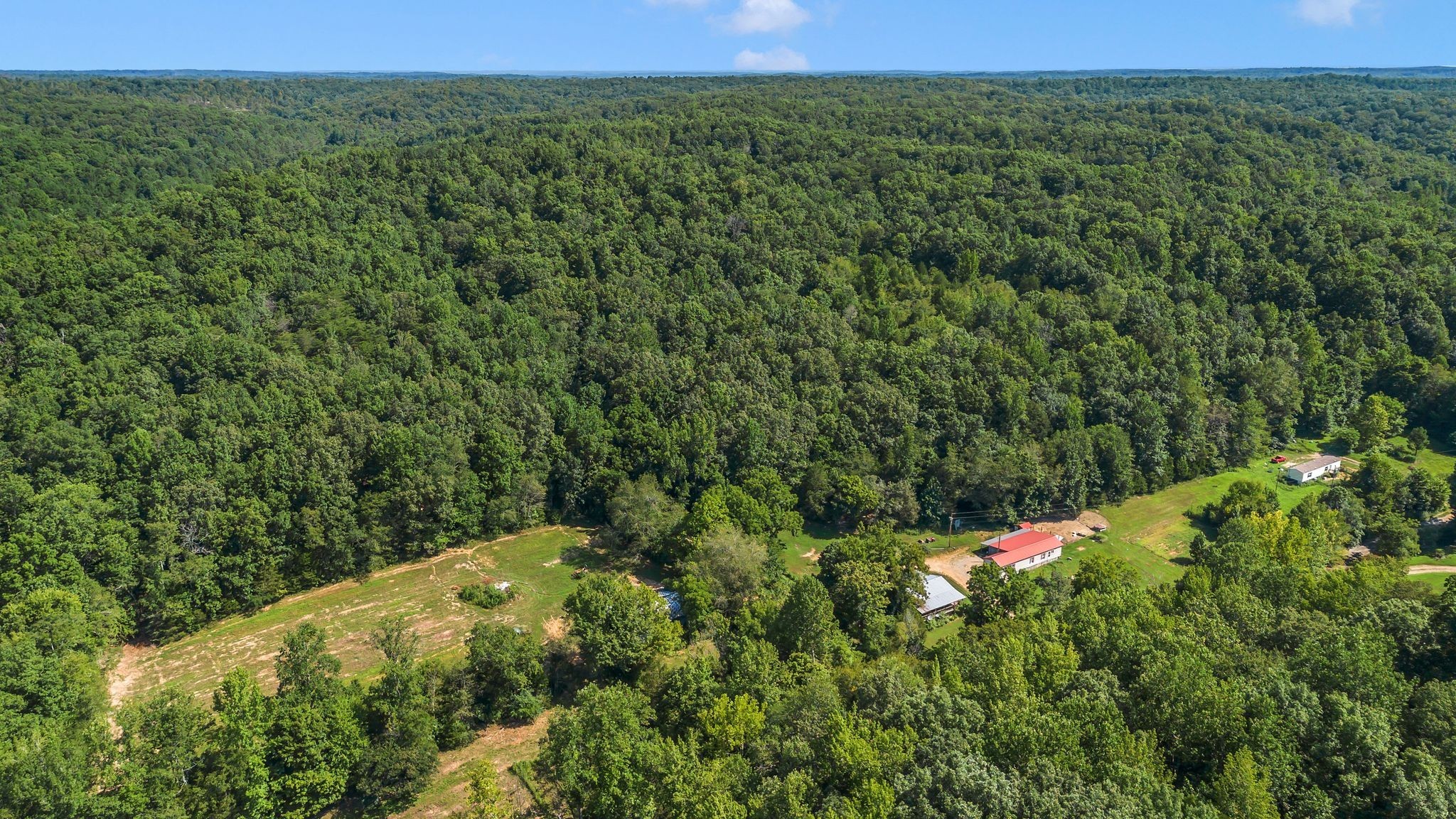 1369 Tanner Hollow Rd Property Photo 3