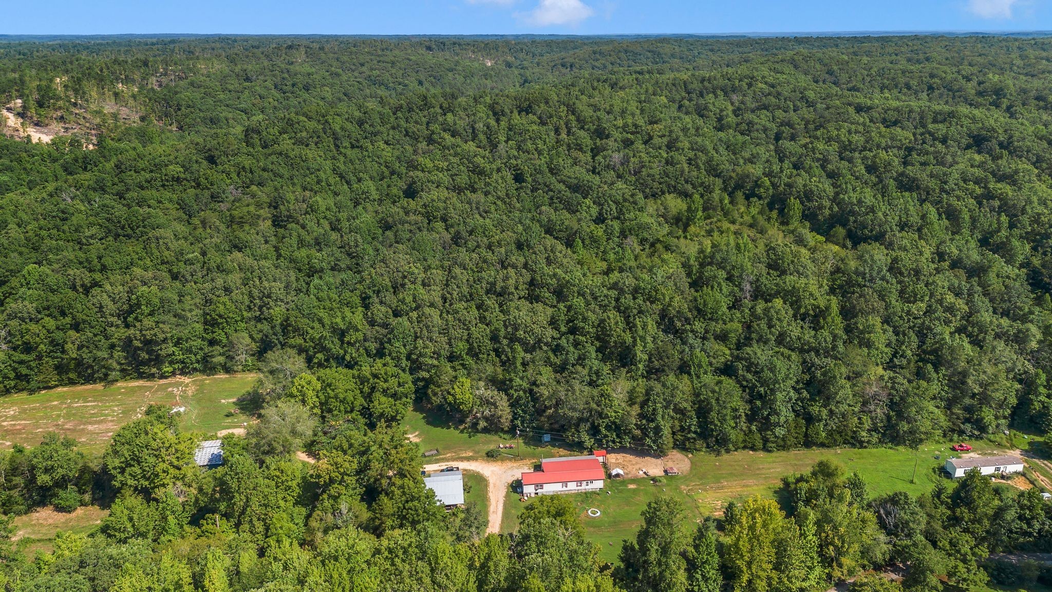 1369 Tanner Hollow Rd Property Photo 4