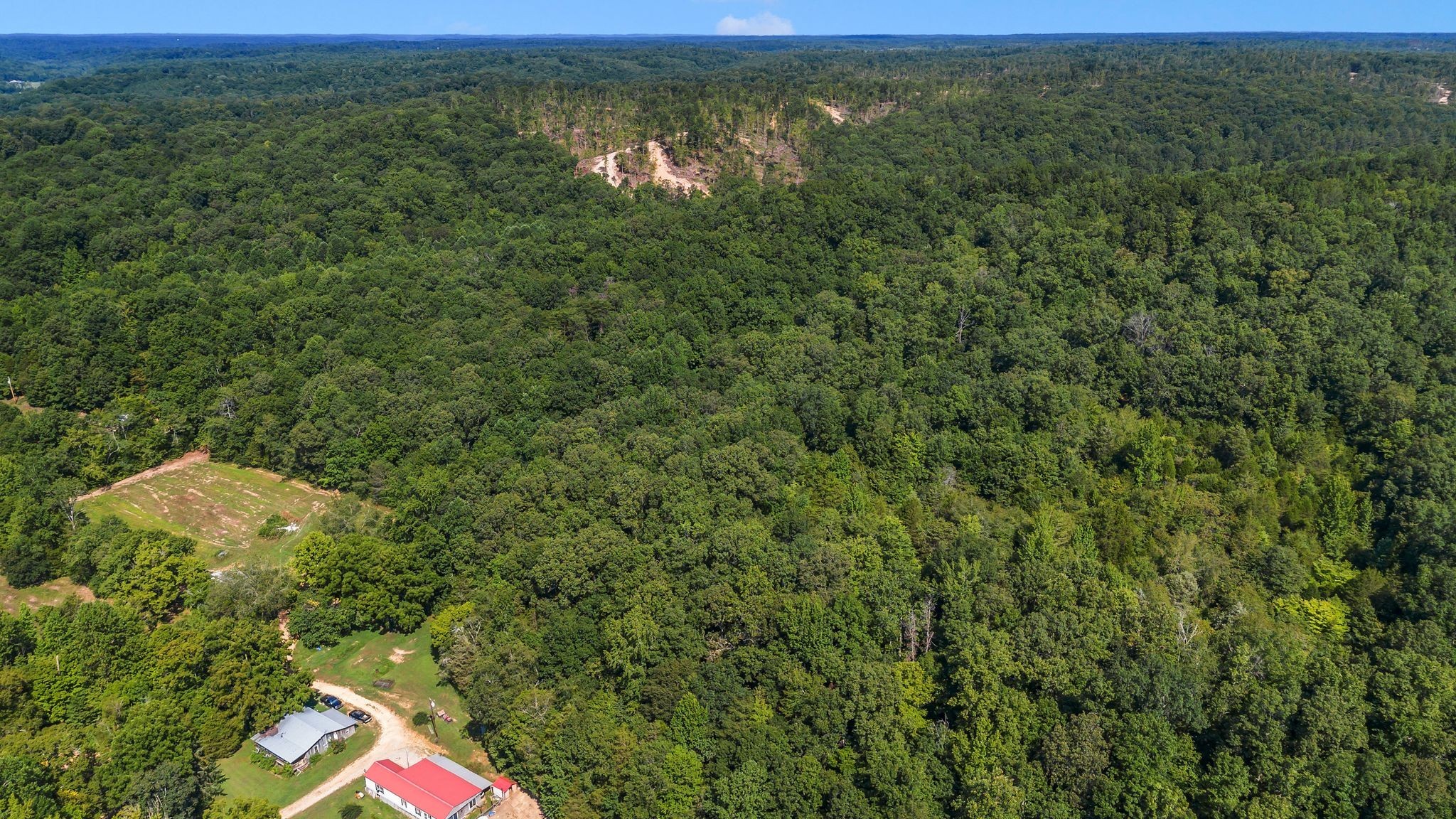 1369 Tanner Hollow Rd Property Photo 6