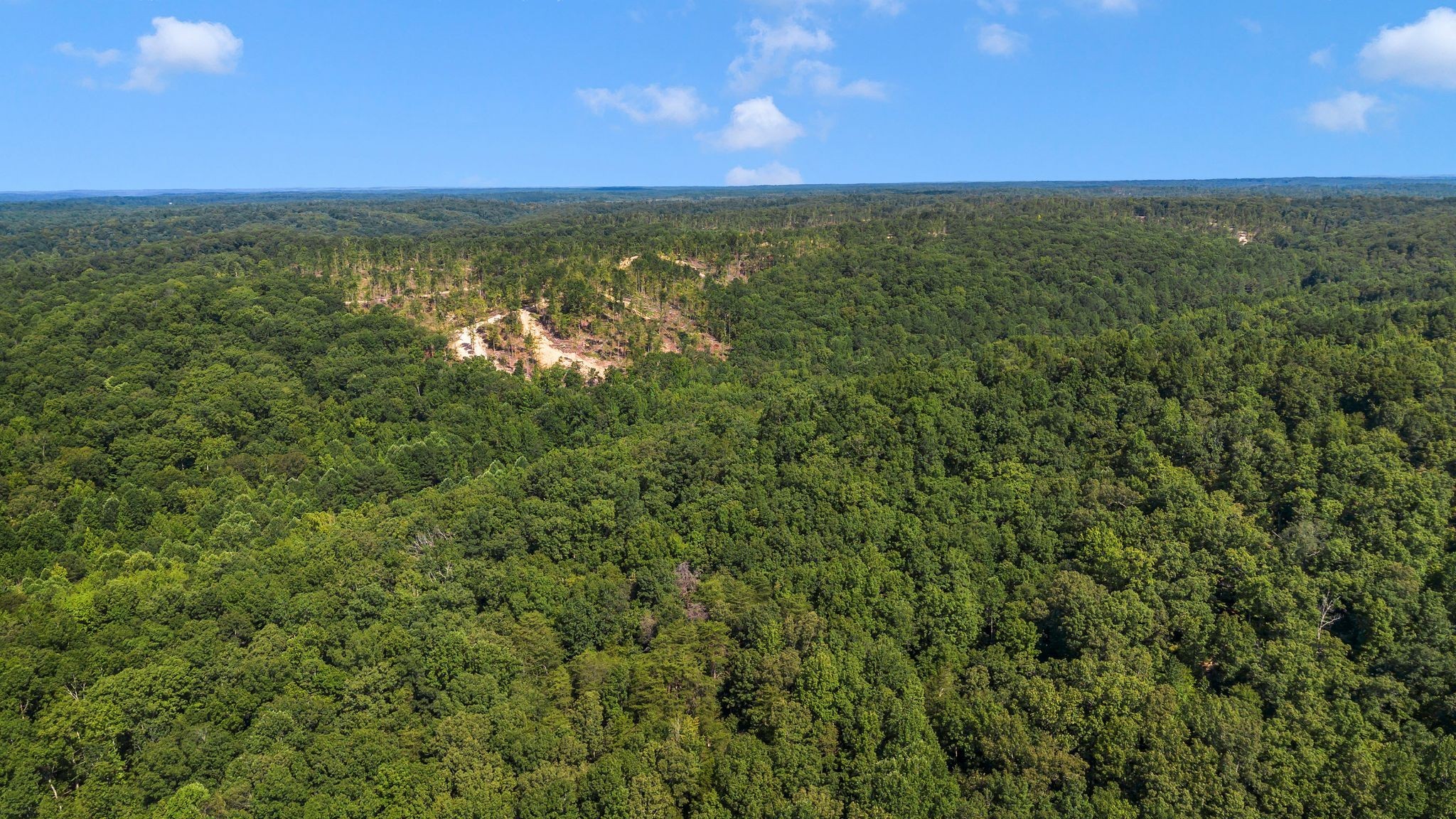 1369 Tanner Hollow Rd Property Photo 8